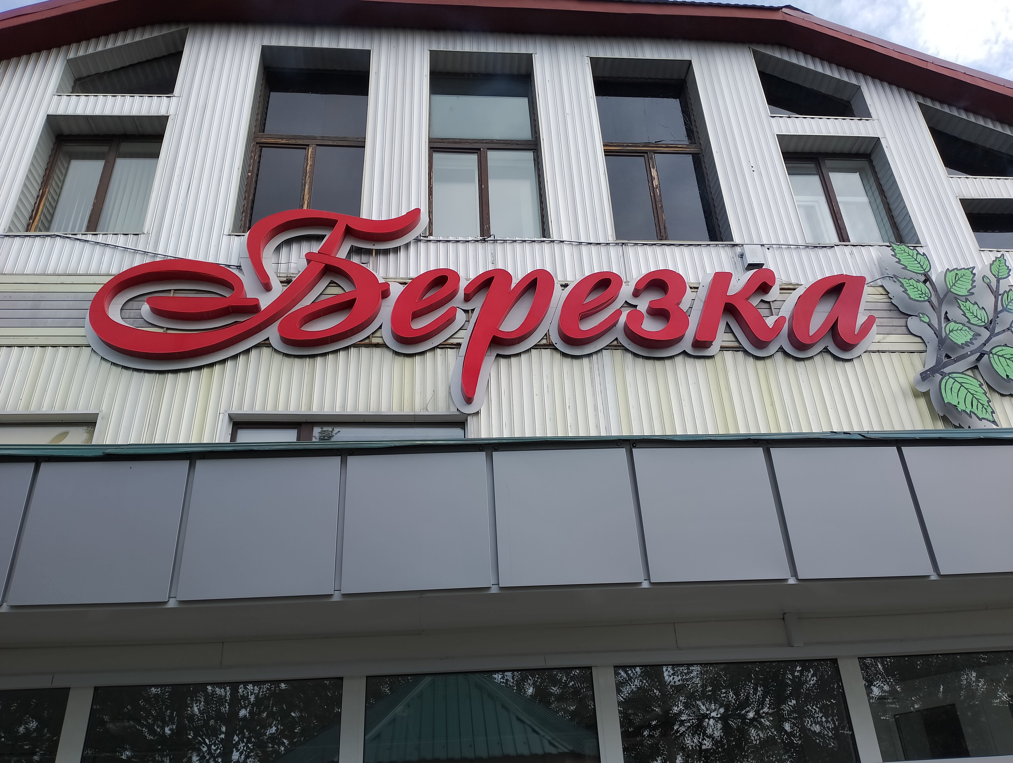 Фото Березка