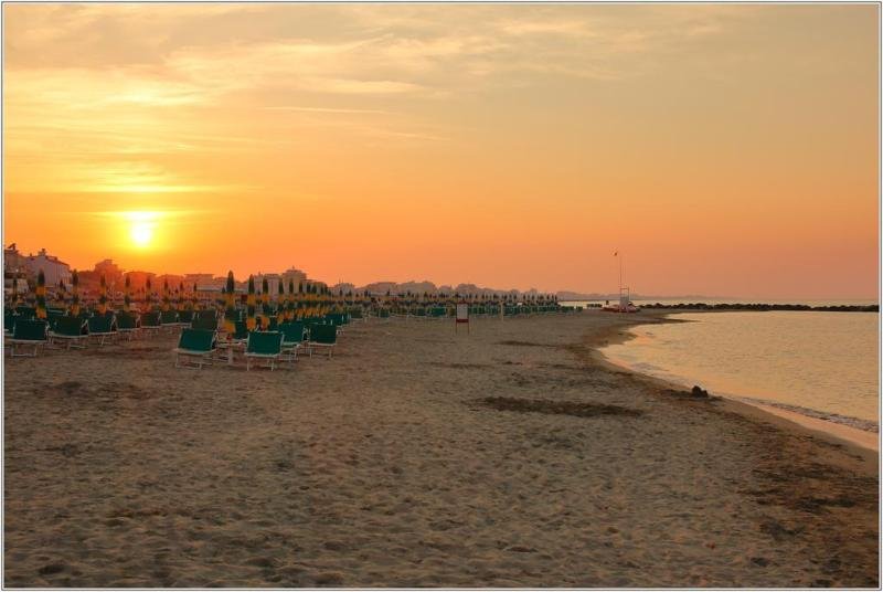 Фото Accademia Rimini