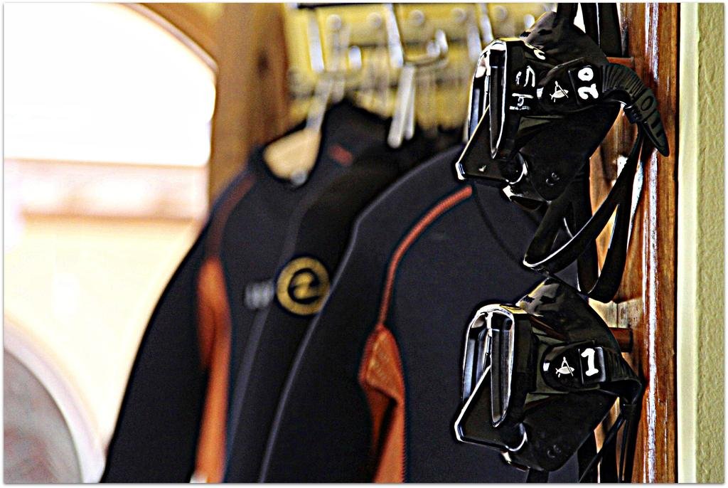 Фото Shams Hotel & Dive Centre