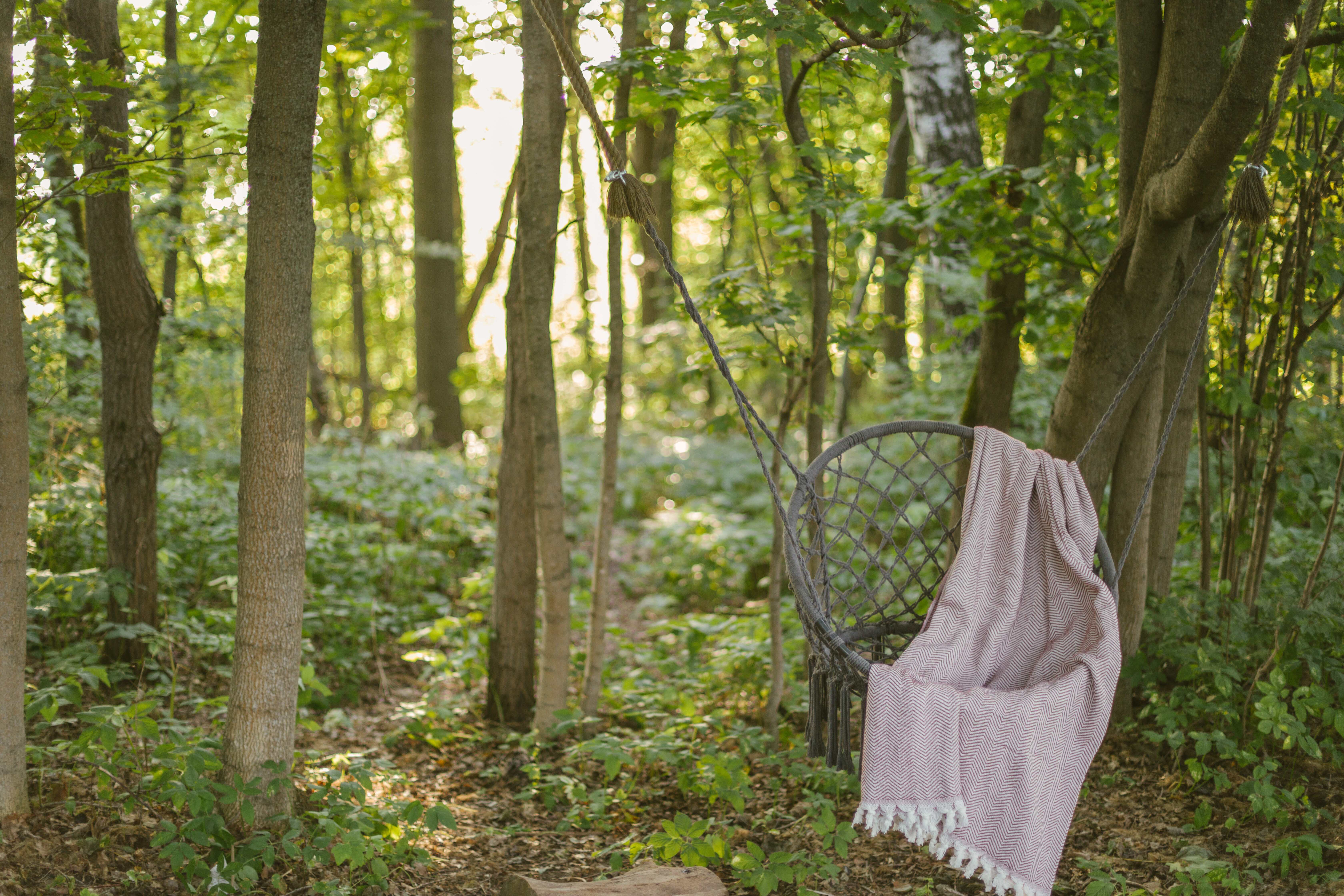 Фото Дом, в Котором Горит Свет