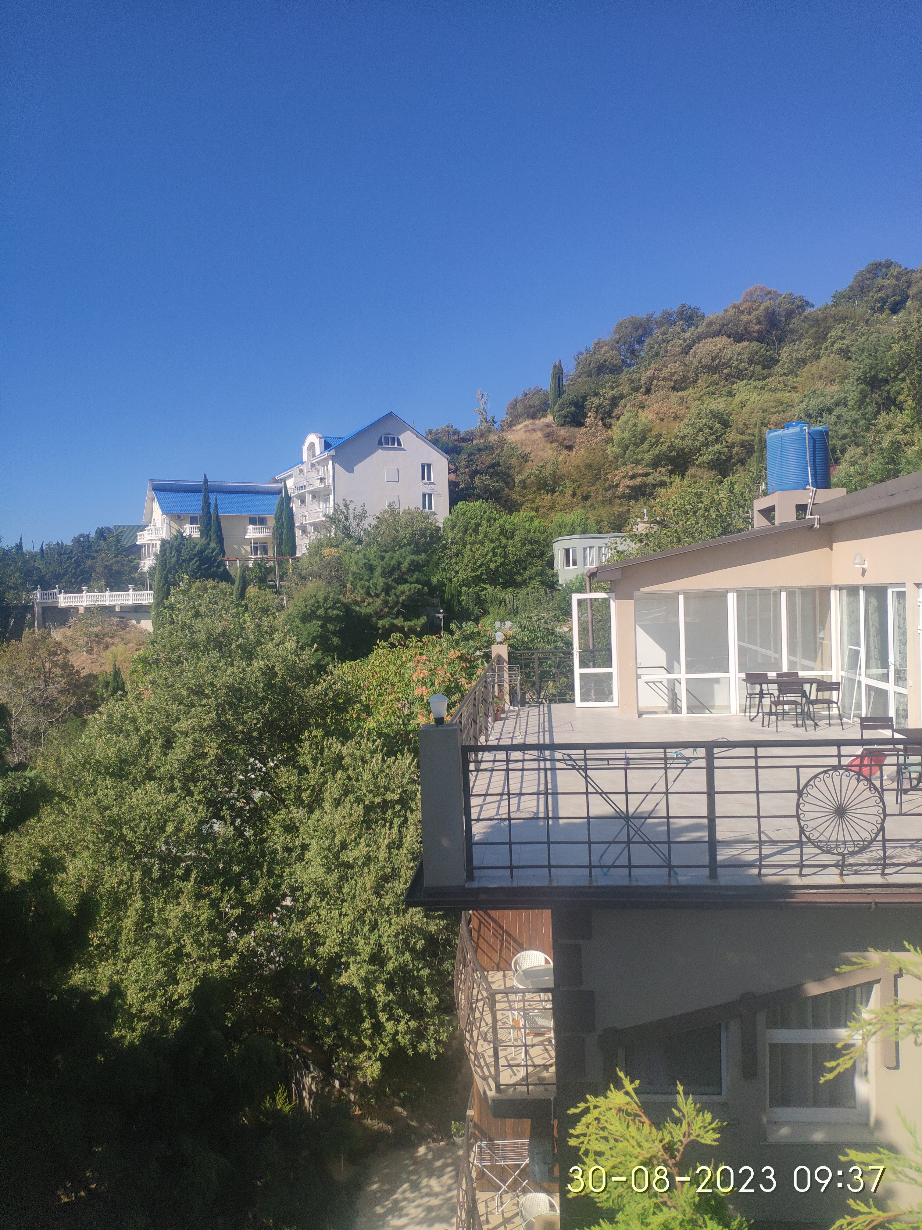 Фото Кедр-Запад