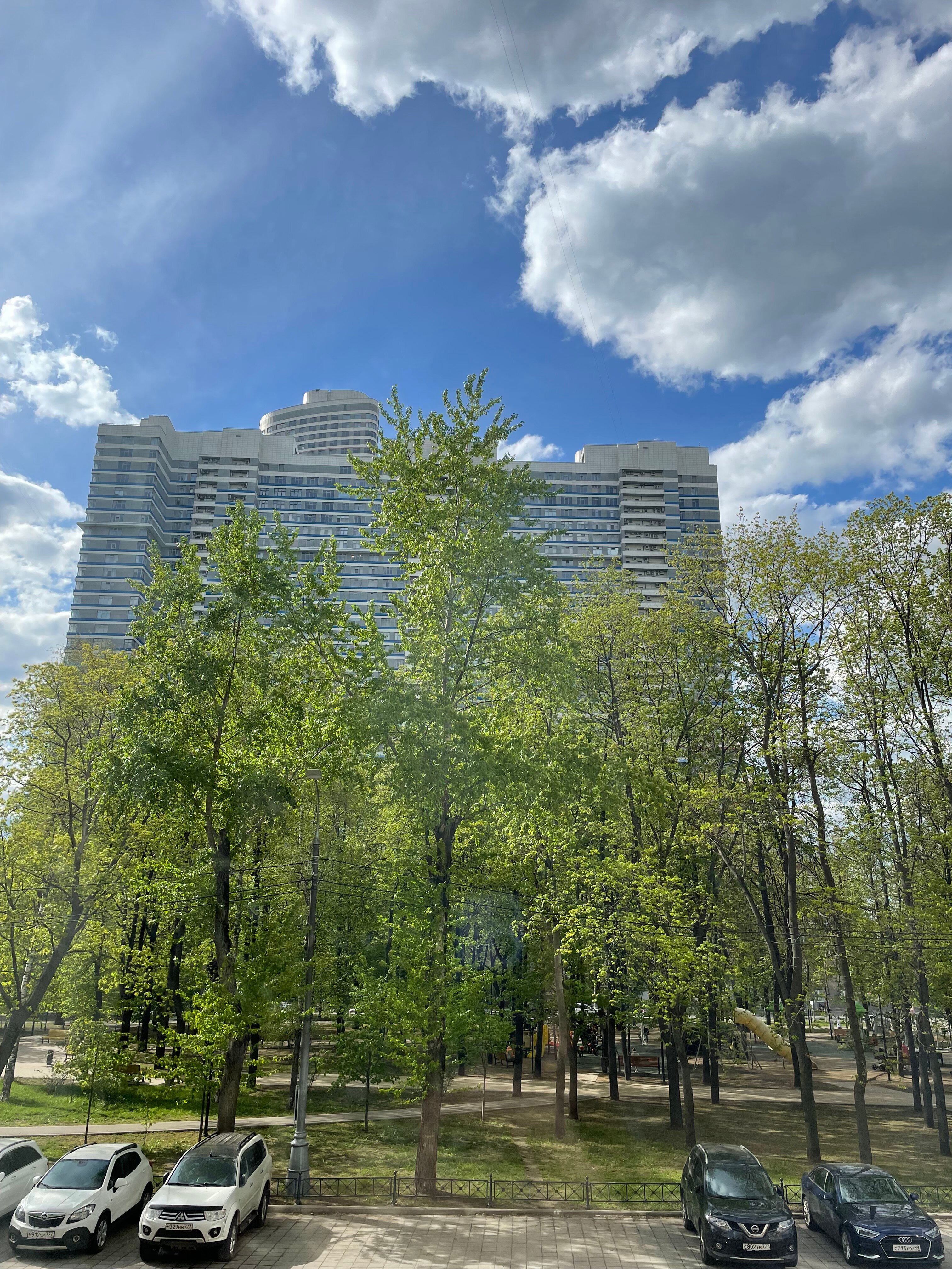 Фото Лотус Марфино