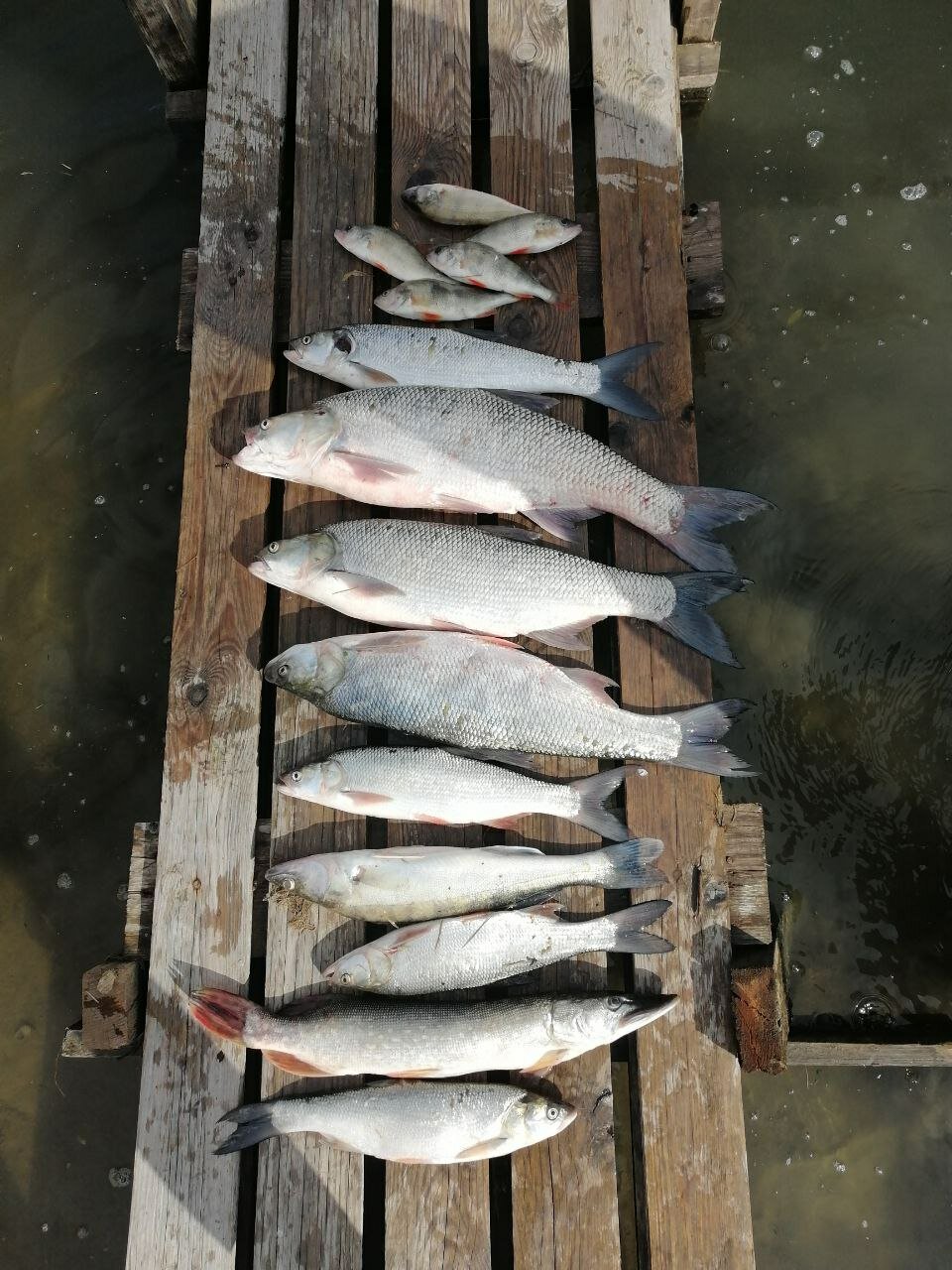 Фото Берлога