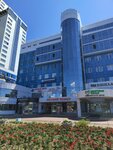 Goeplan (Karla Marksa Street, 96А), trabajo de encuesta