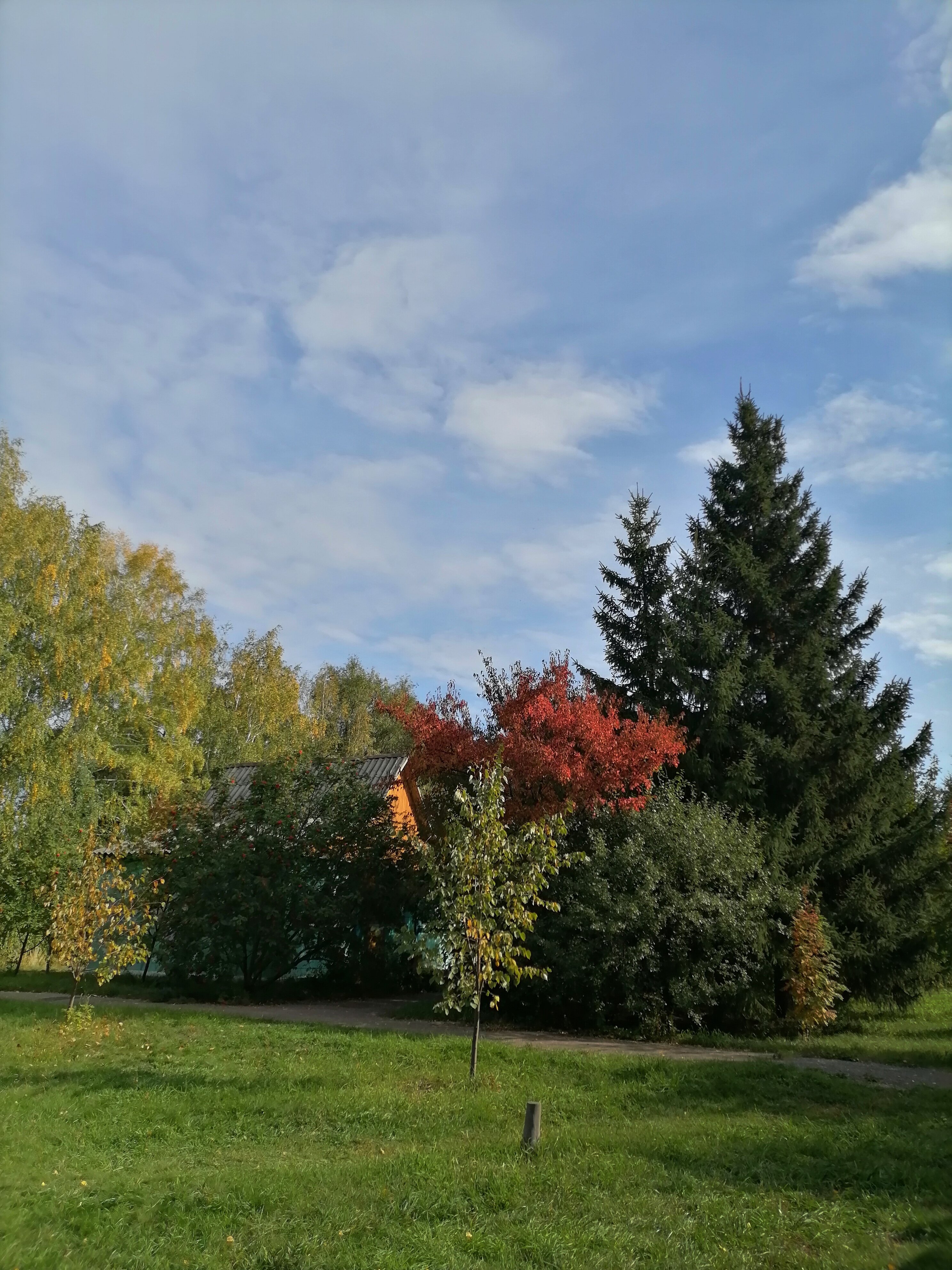 Фото Зотино