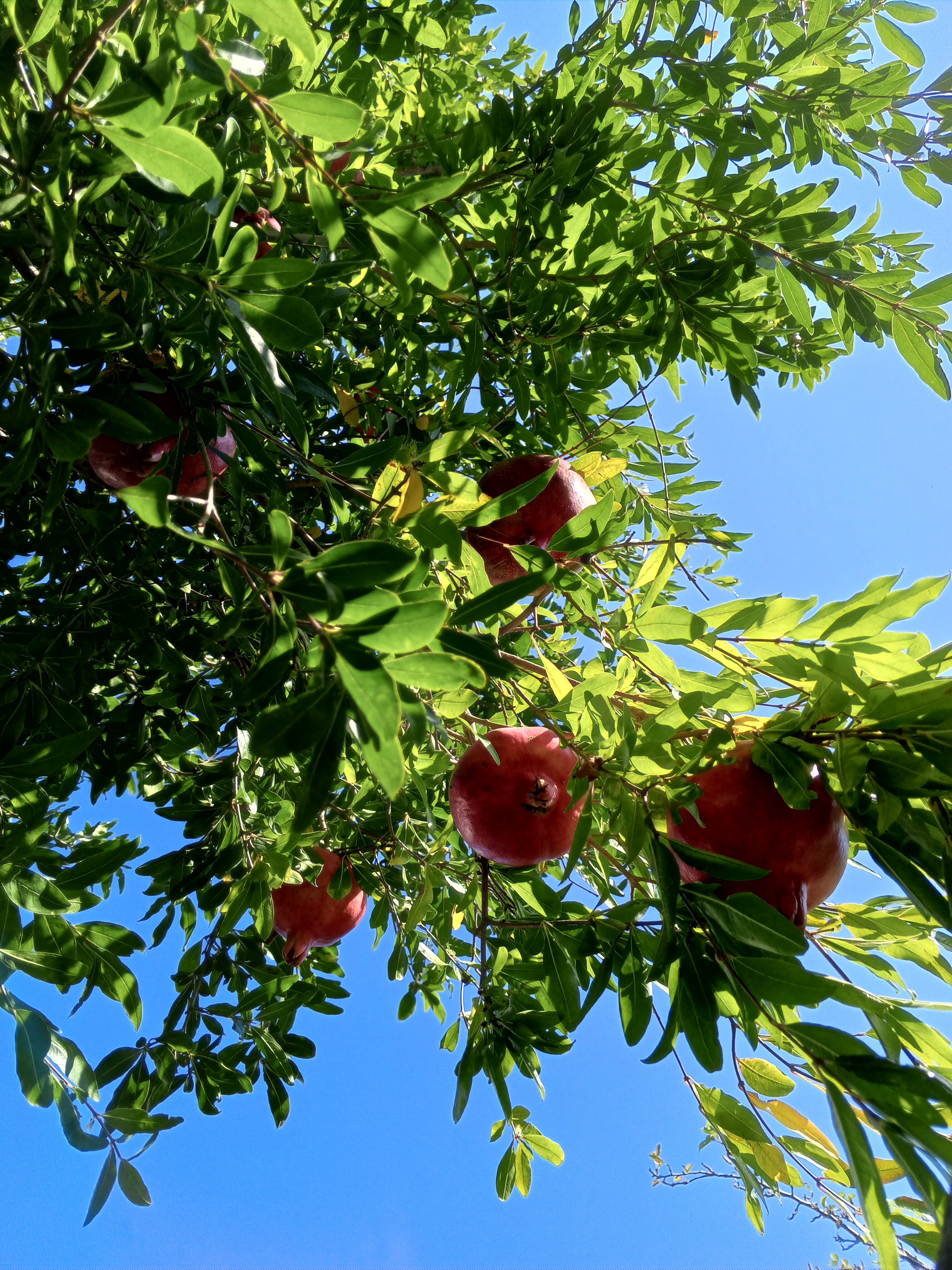 Фото Домик скульптора