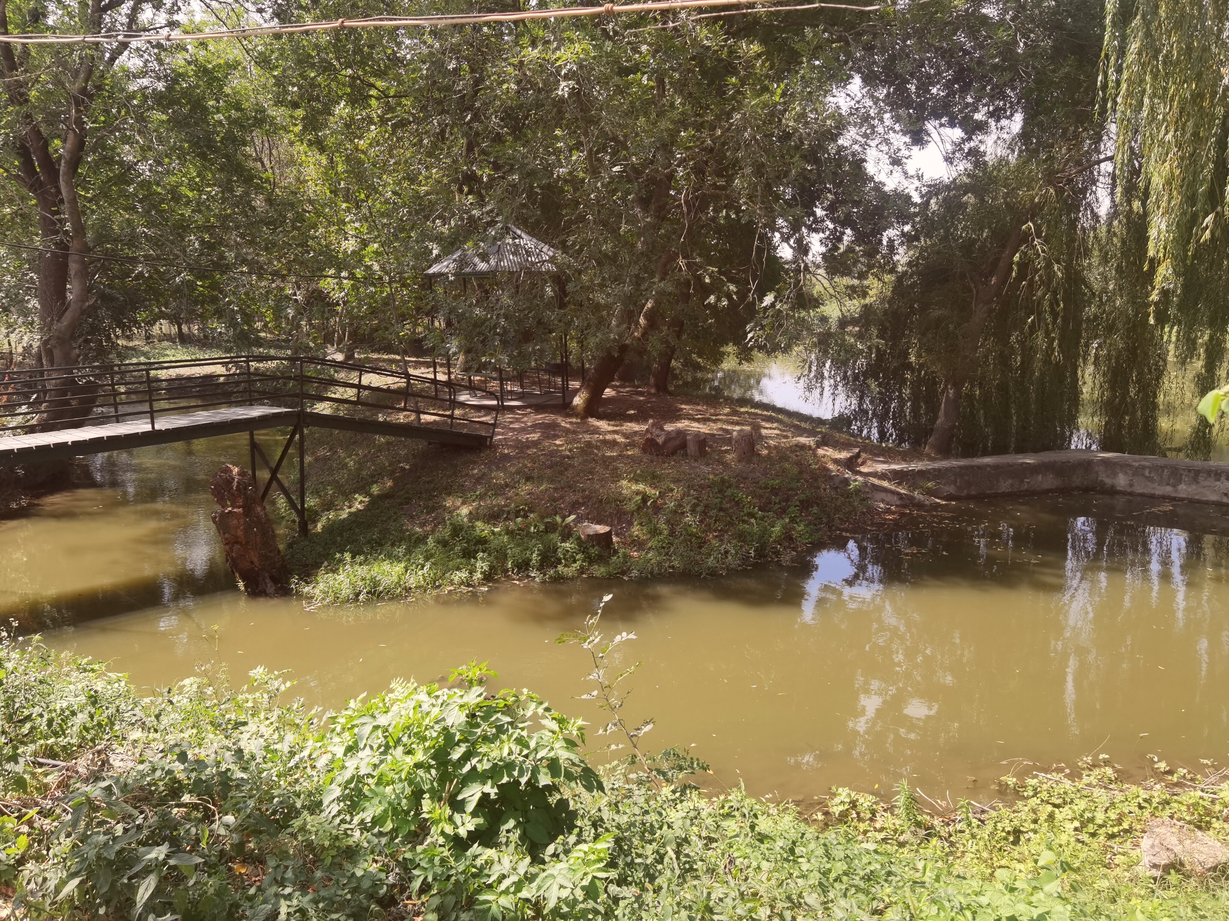 Фото Тихий пруд