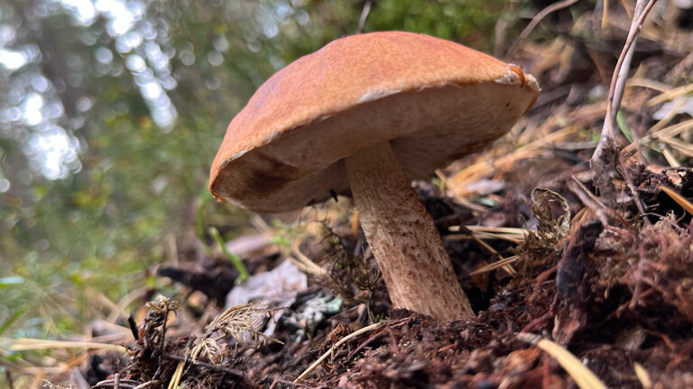 Фото Seliger Soul