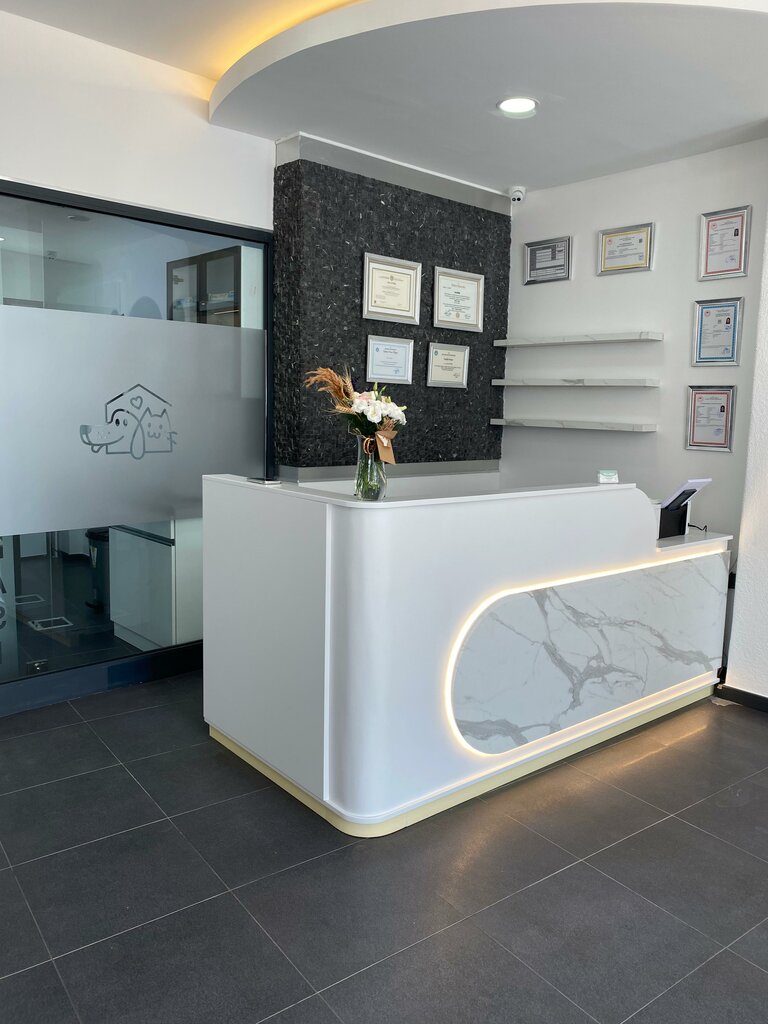Veteriner klinikleri Vetsmile Veteriner Kliniği, İzmir, foto