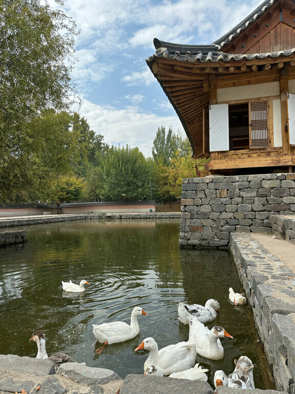 Парк культуры и отдыха Парк Культуры и Отдыха им. Бабура, Ташкент, фото