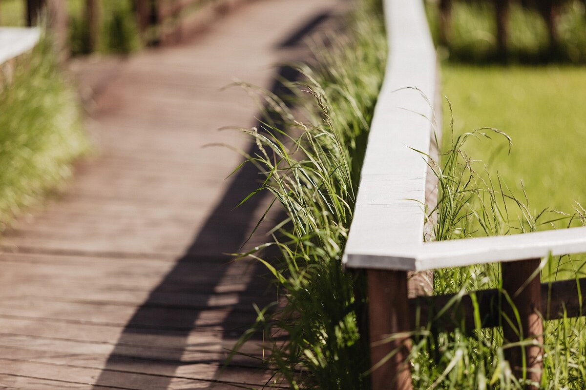 Фото Поле Чудес