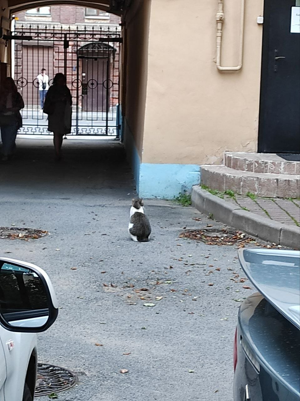 Фото Невский двор