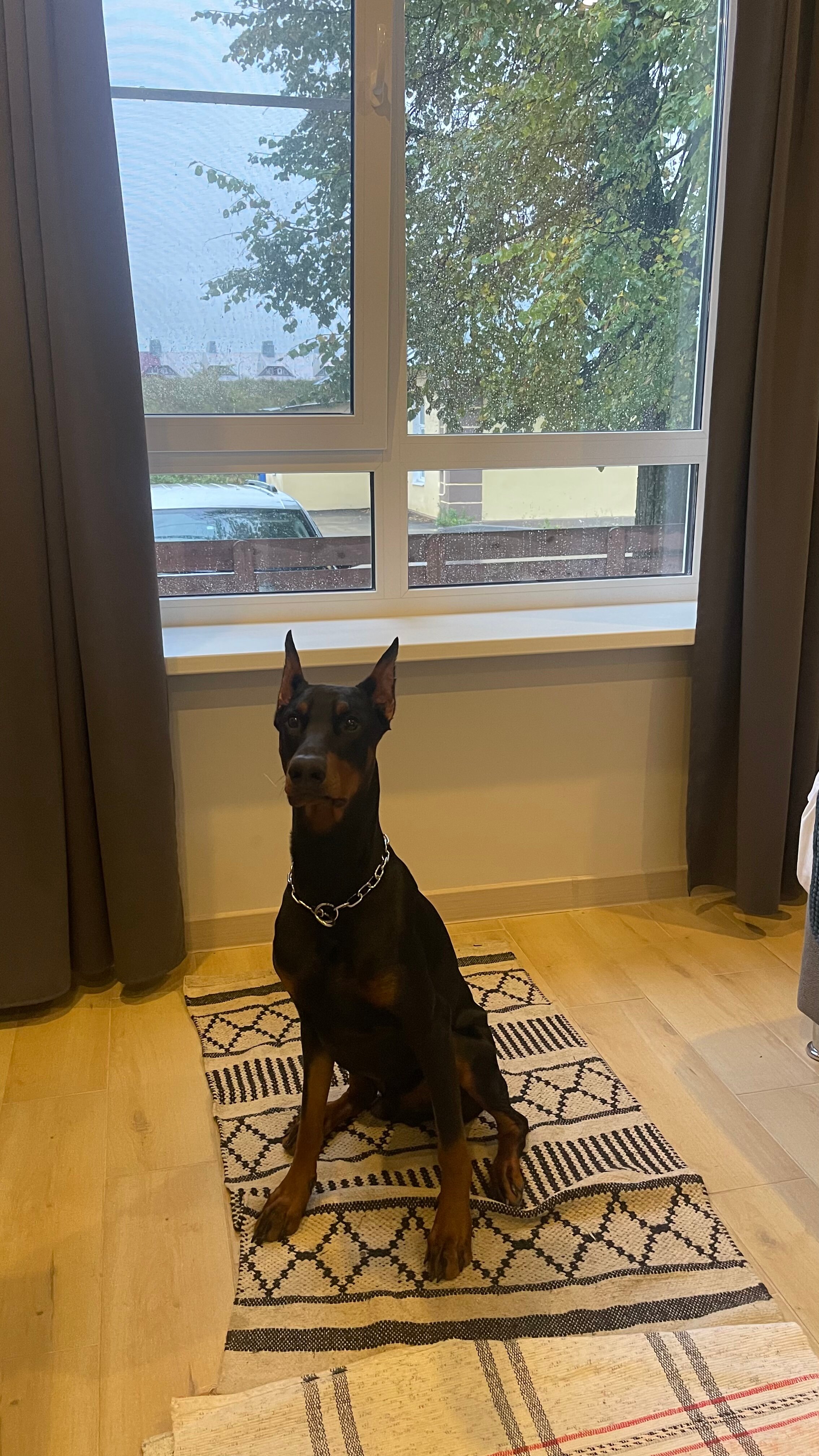 Фото Берген