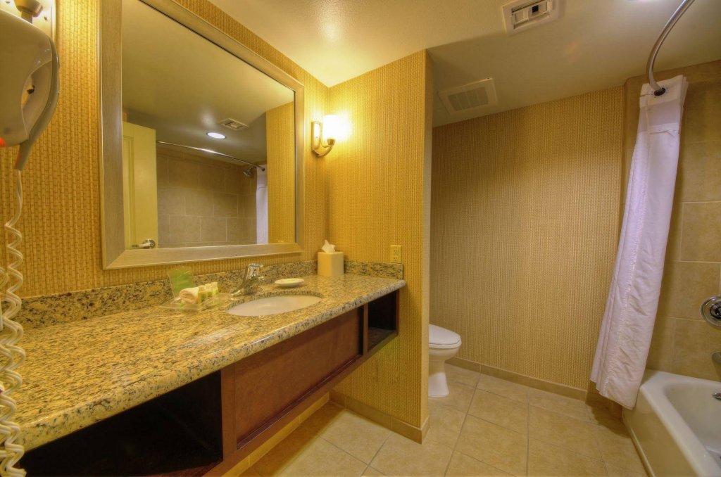 Фото Holiday Inn Hotel & Suites Phoenix Airport, an Ihg Hotel