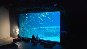 Lodz Zoo (Lodz Voivodeship, Łódź, Łódź, park imienia Józefa Piłsudskiego), zoo