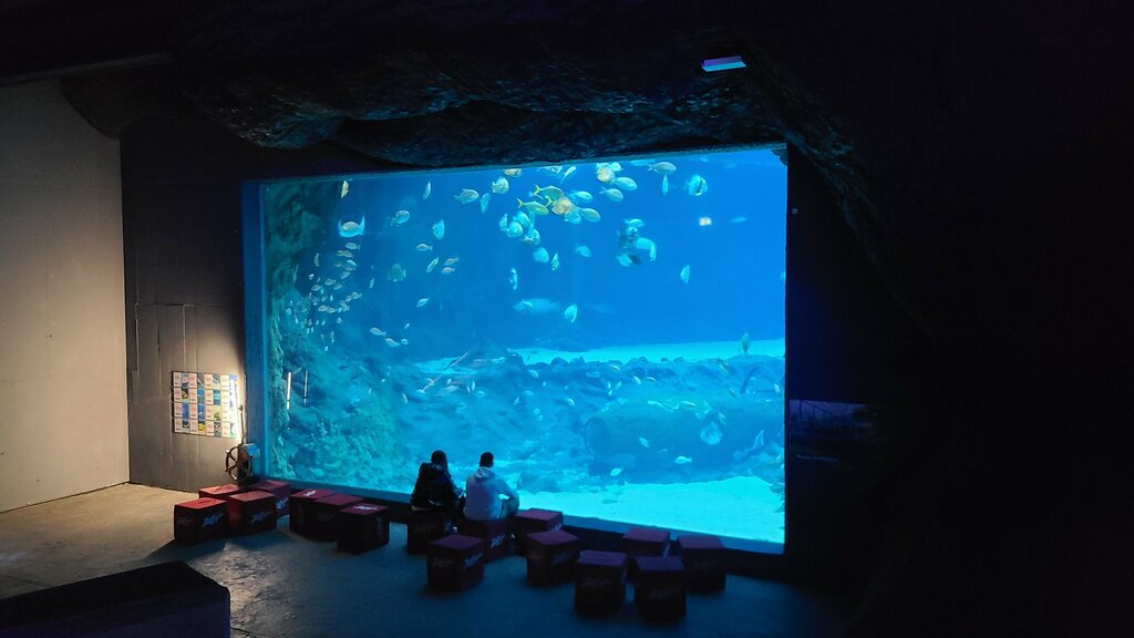 Zoo Lodz Zoo, Lodz, photo