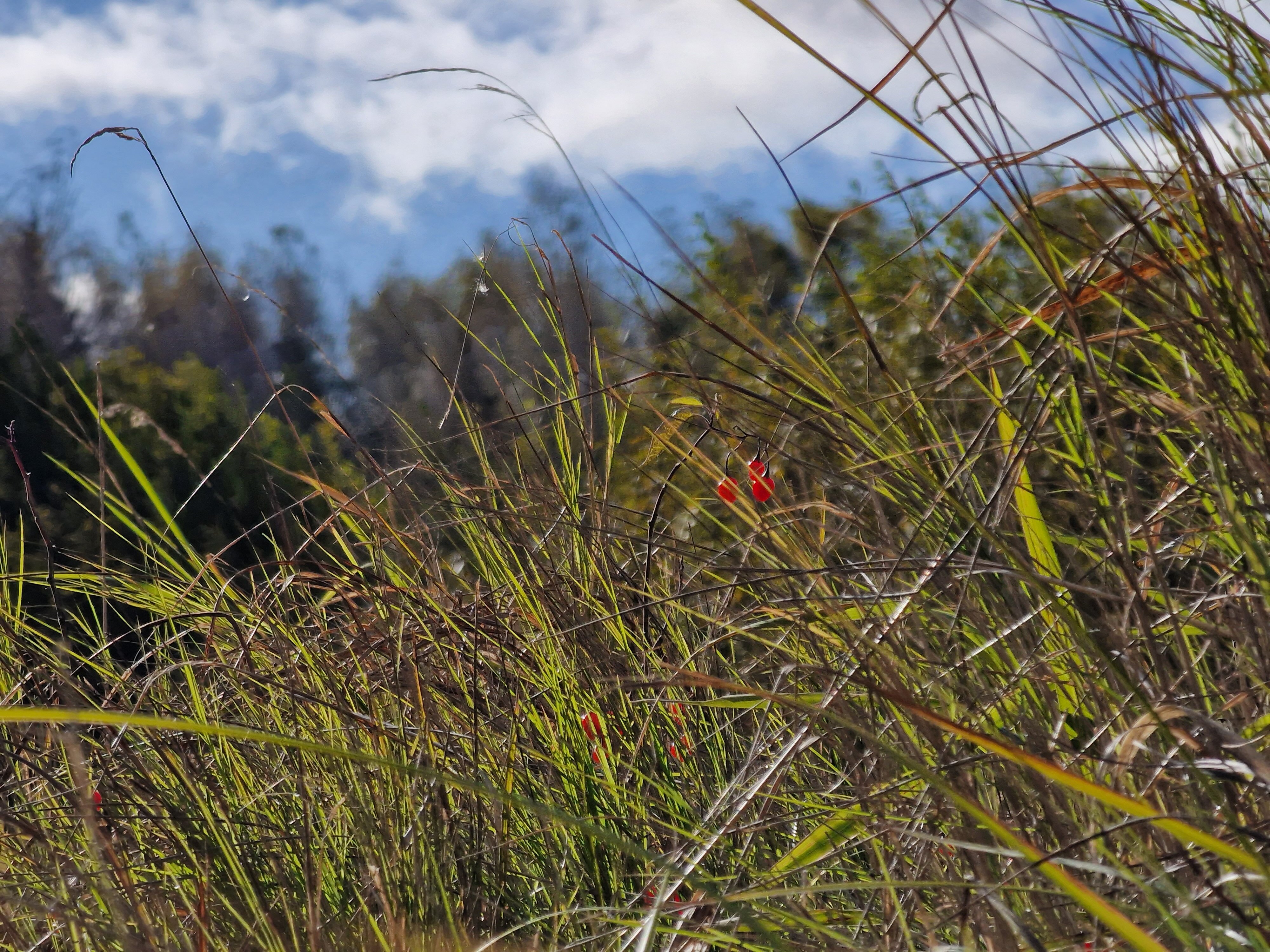 Фото Light House