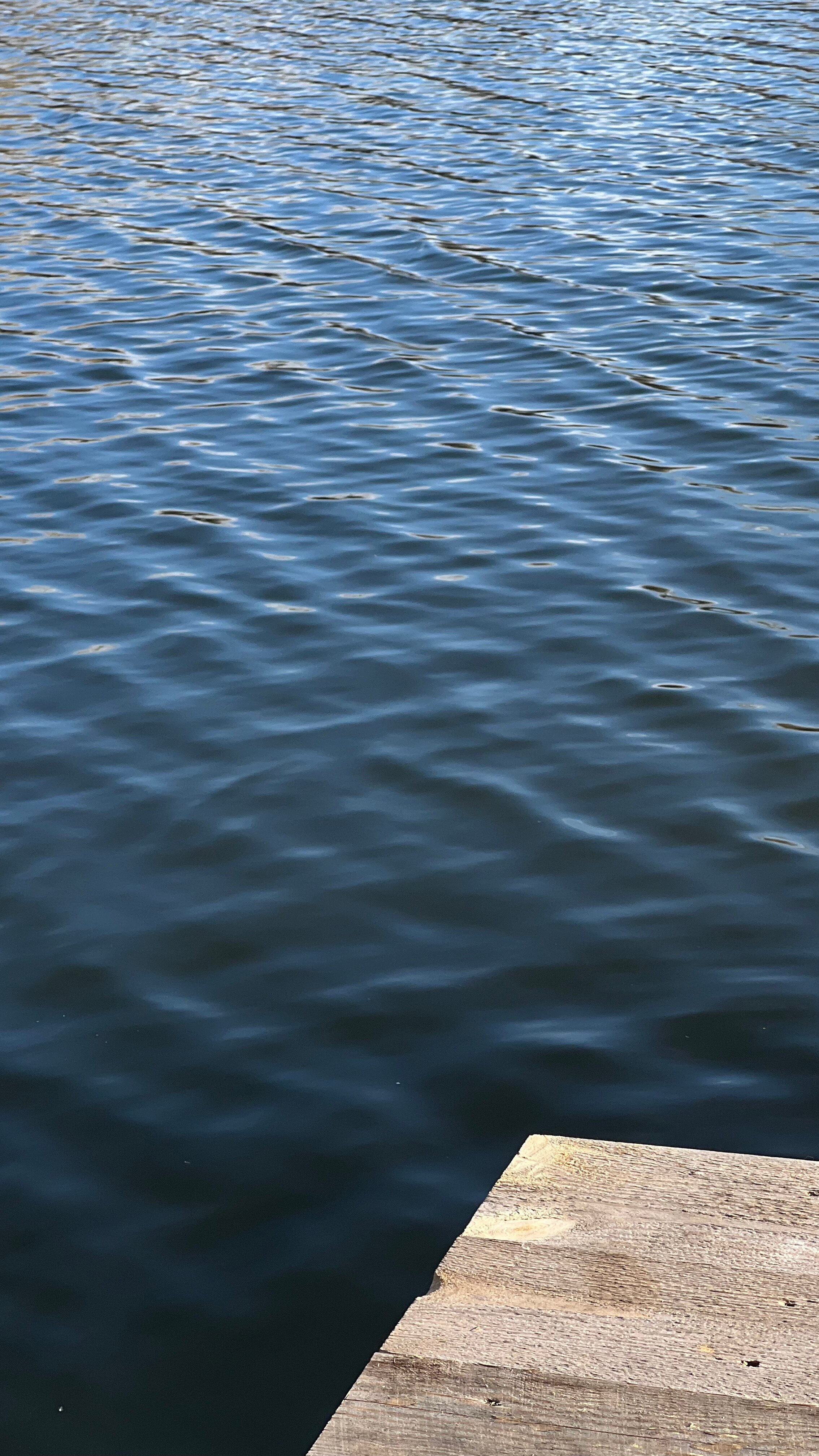 Фото Вместо Моря