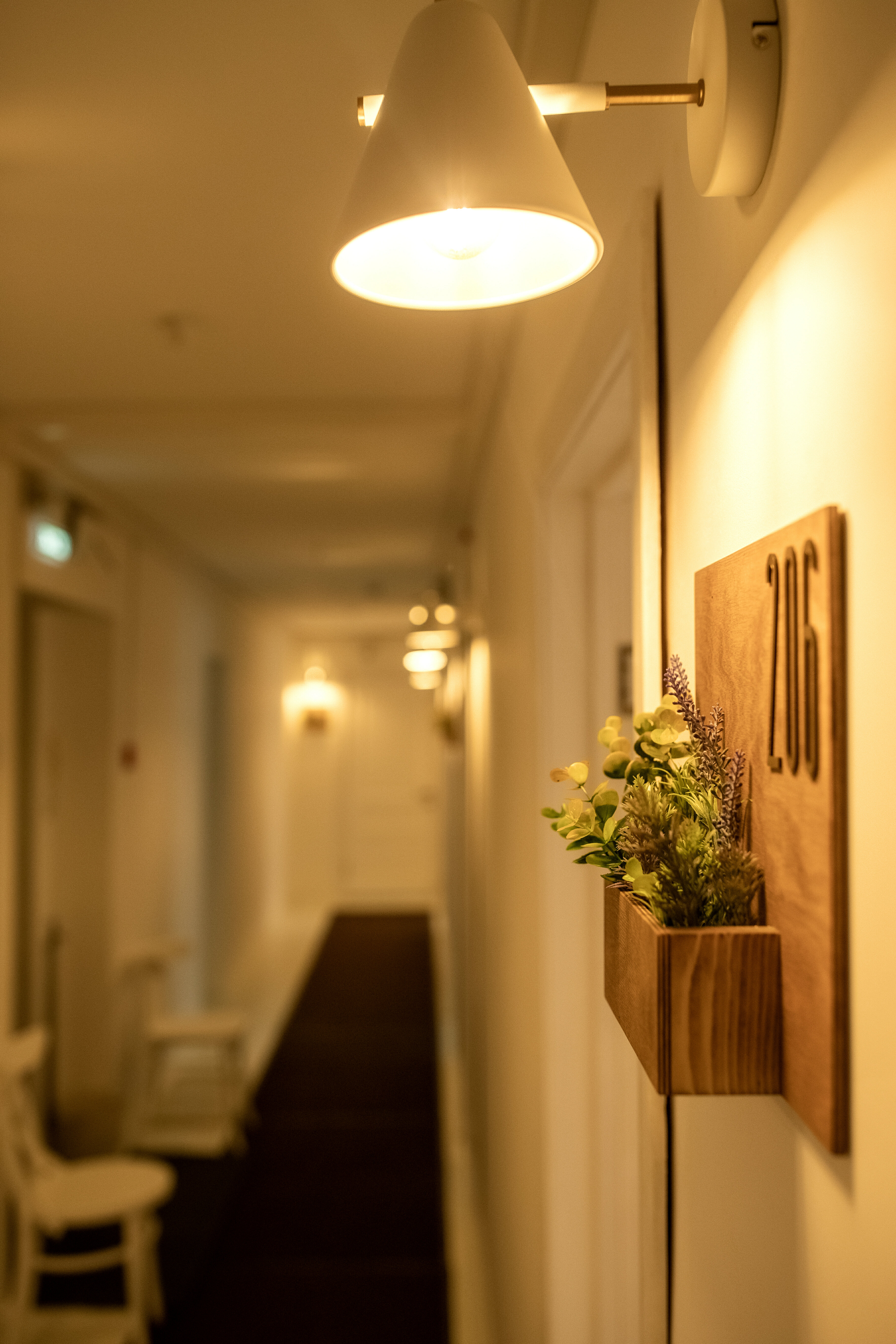 Фото Лопарочка