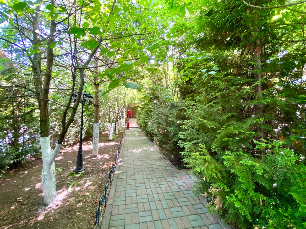 Фото Аватара