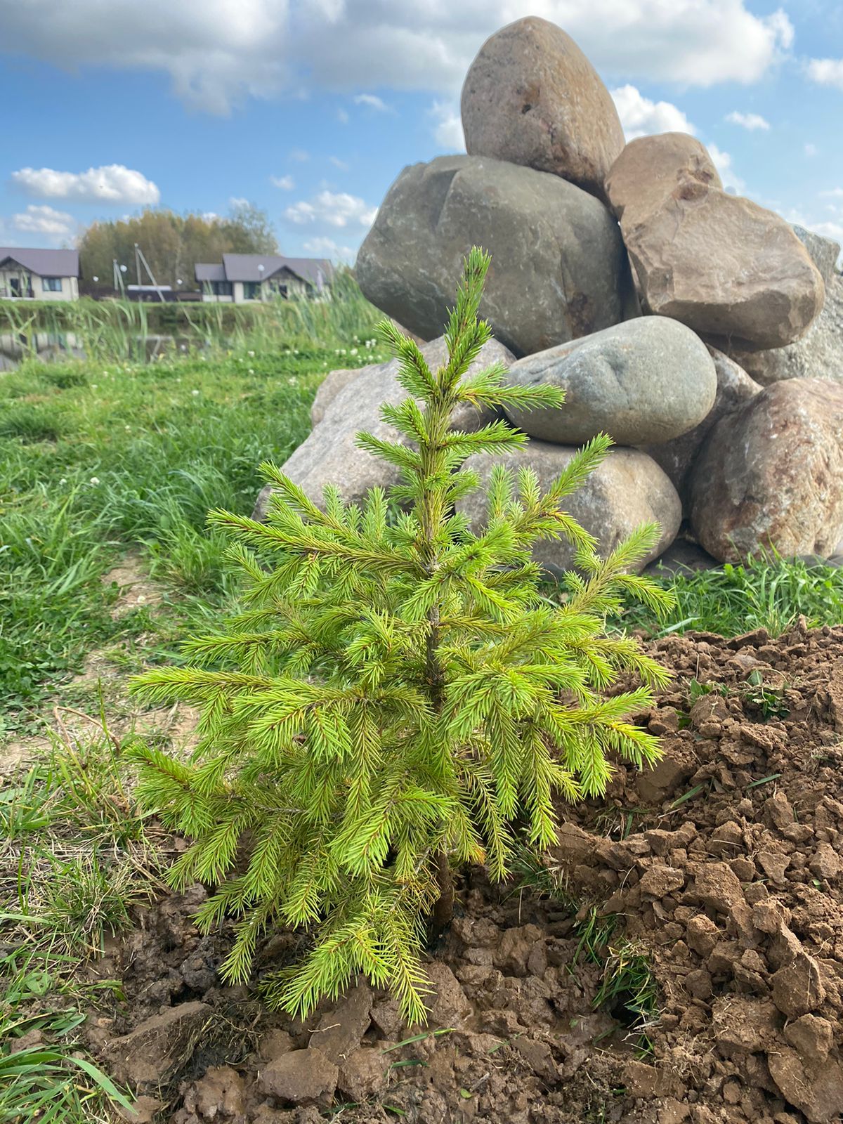 Фото Ярославские озерки