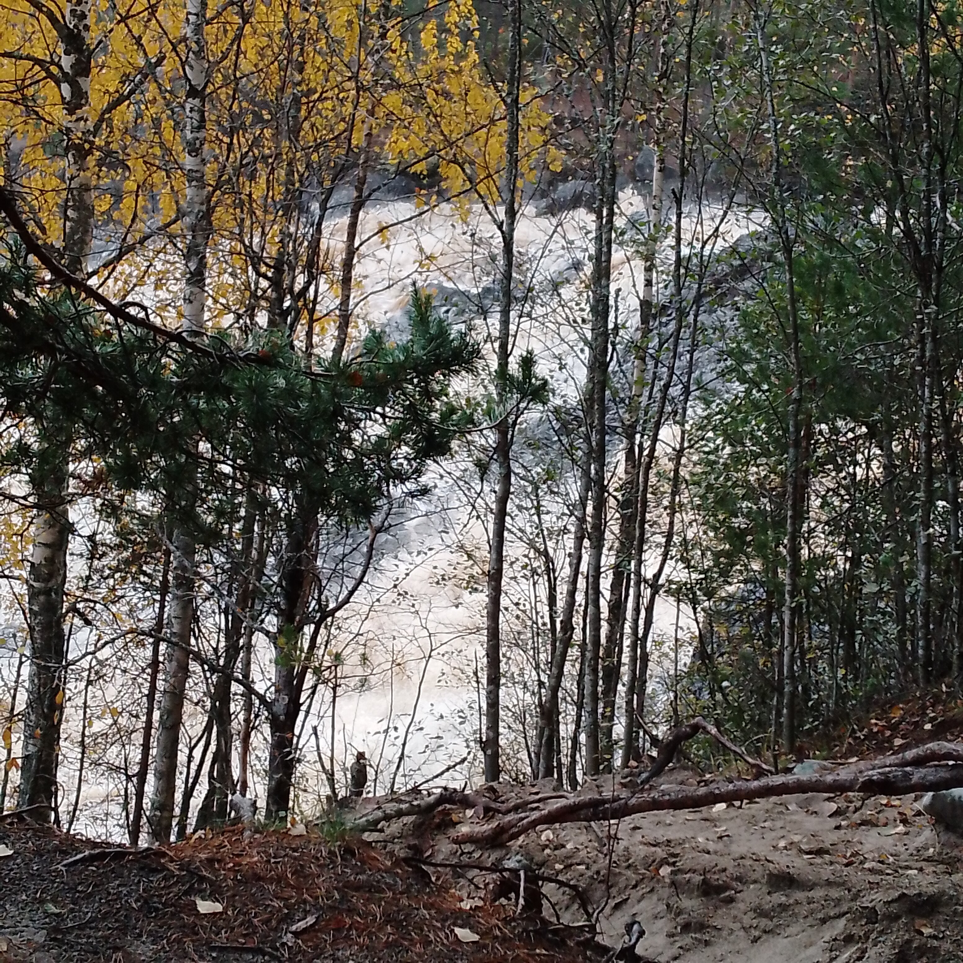 Фото Шуйская Слобода