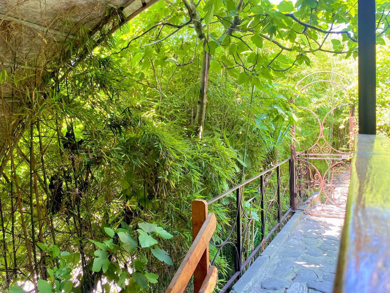 Фото Виктори