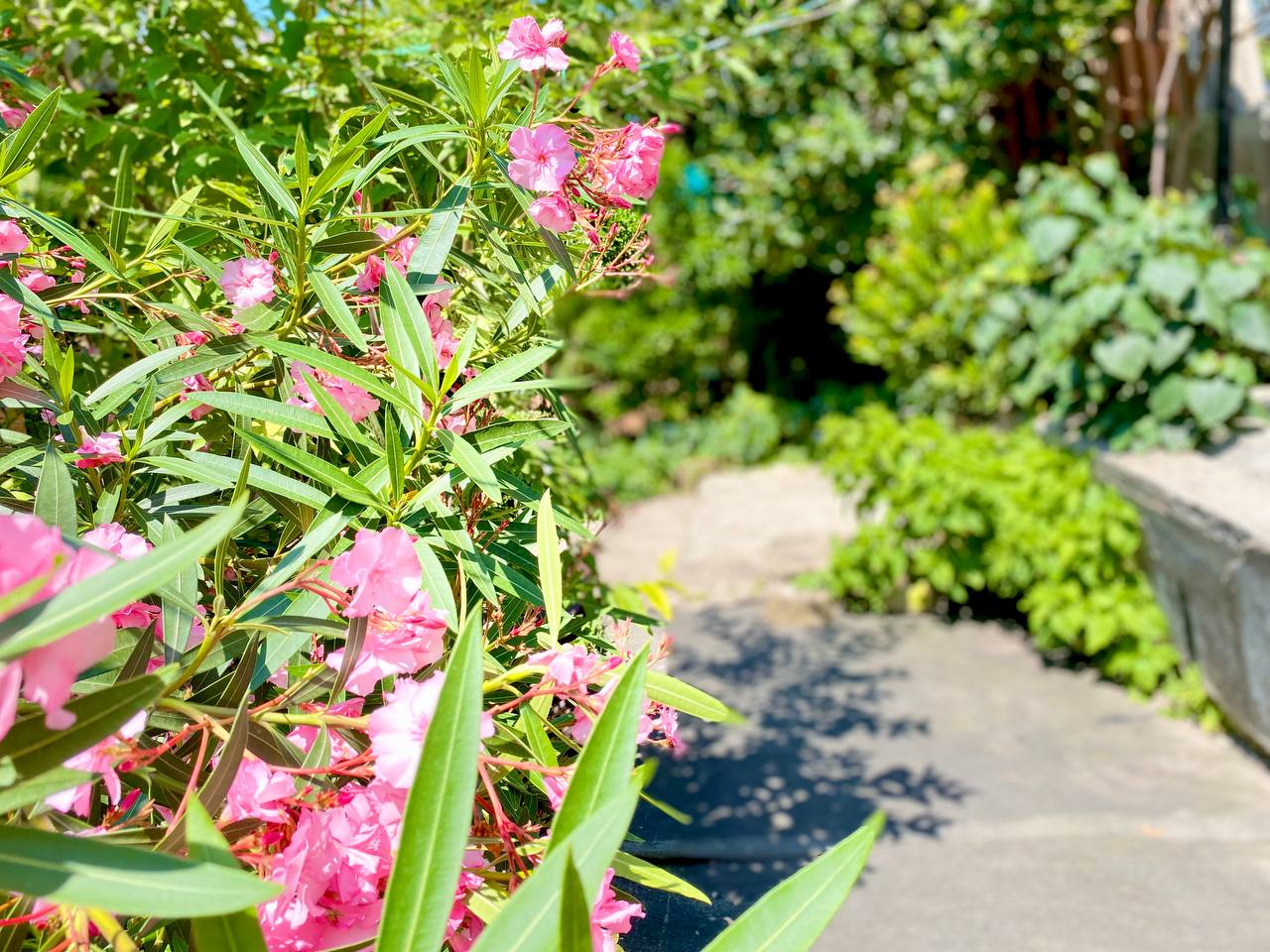 Фото Виктори