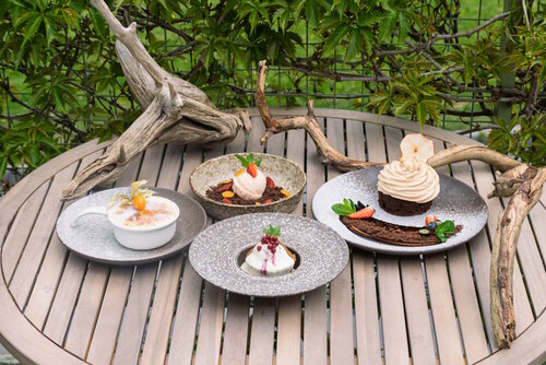 Гостиница Спа-отель Карелия в Петрозаводске