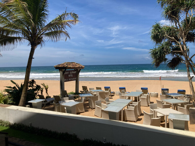 Фото Lucky Elephant