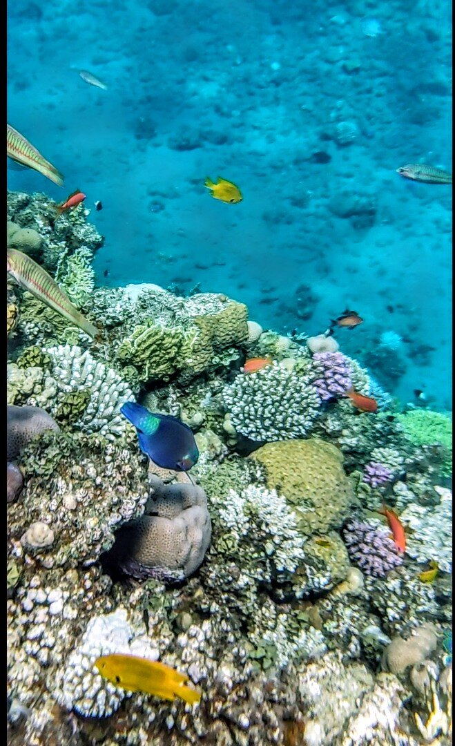 Фото Happy Life Village Dahab