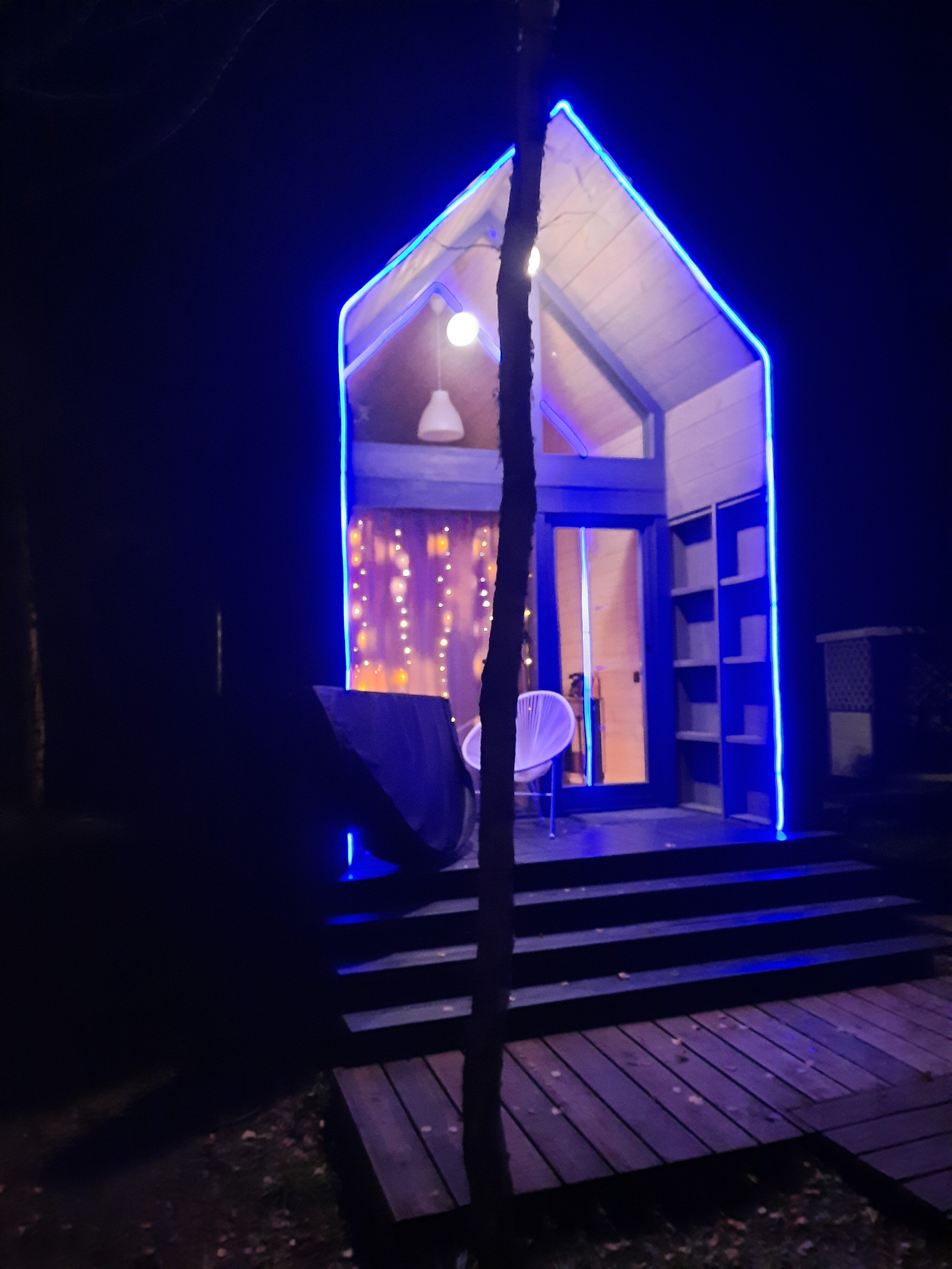 Фото Дыши лесом