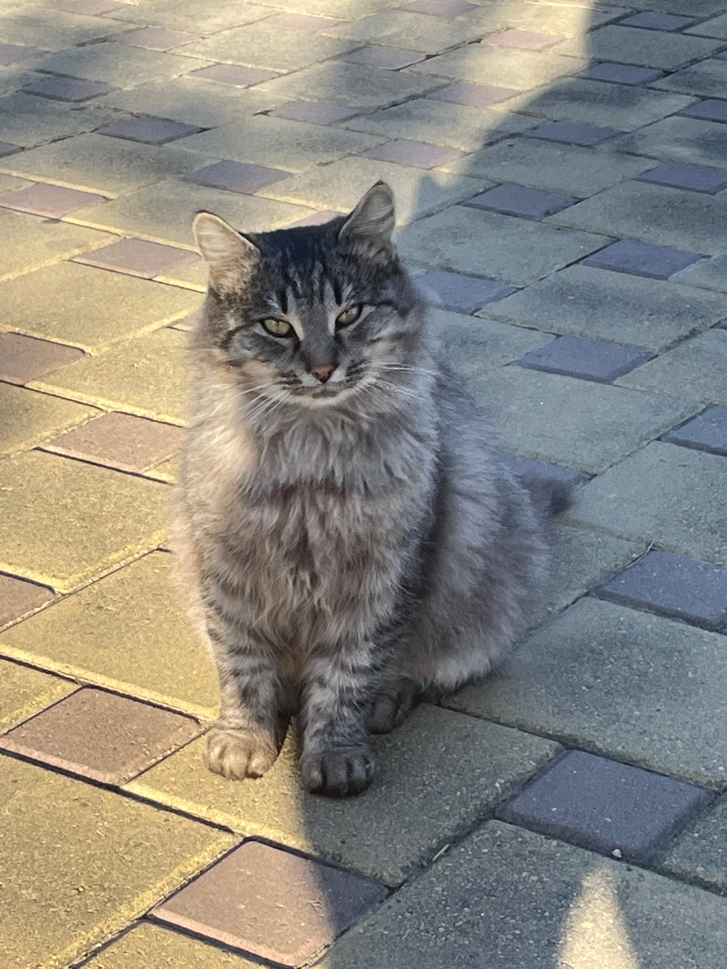 Фото Турист