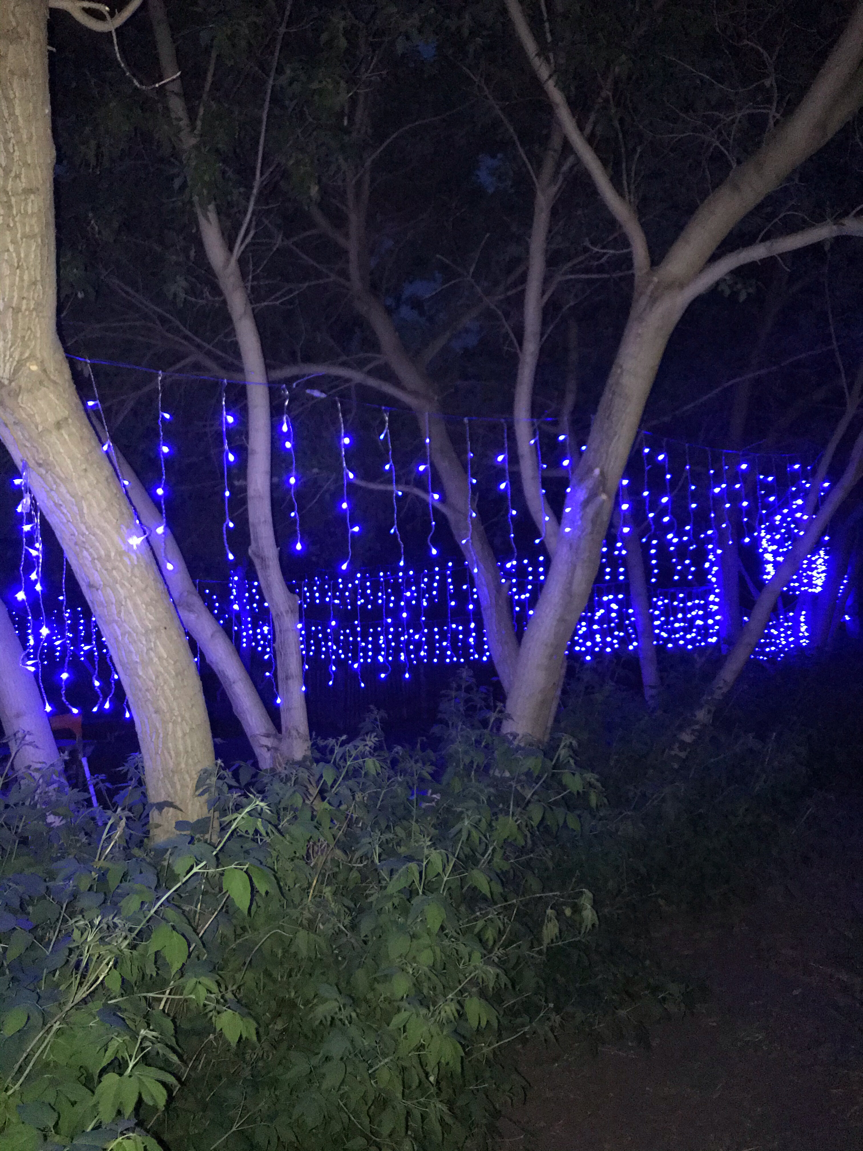 Фото Славянская усадьба