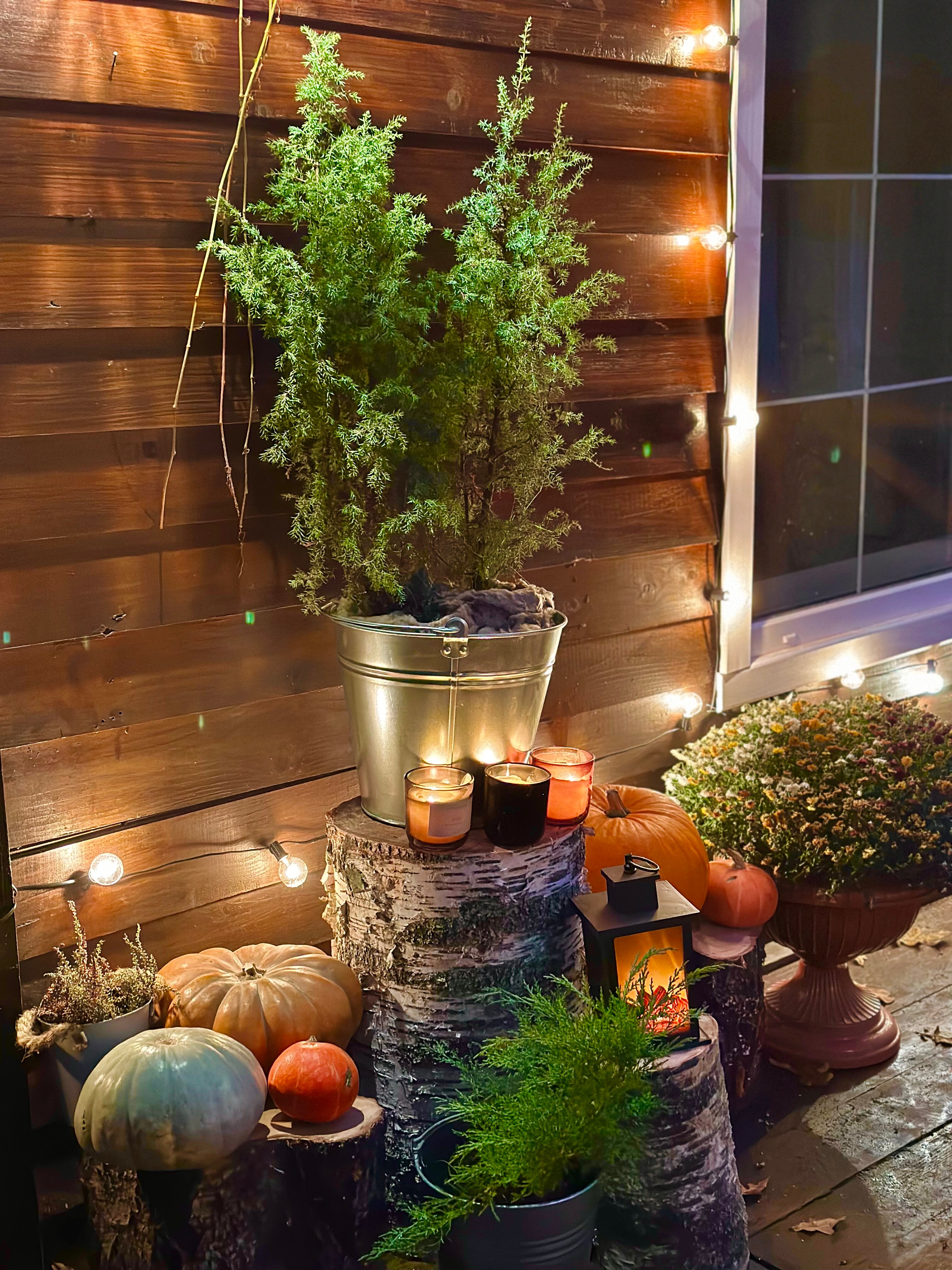 Фото Дача Inn Les