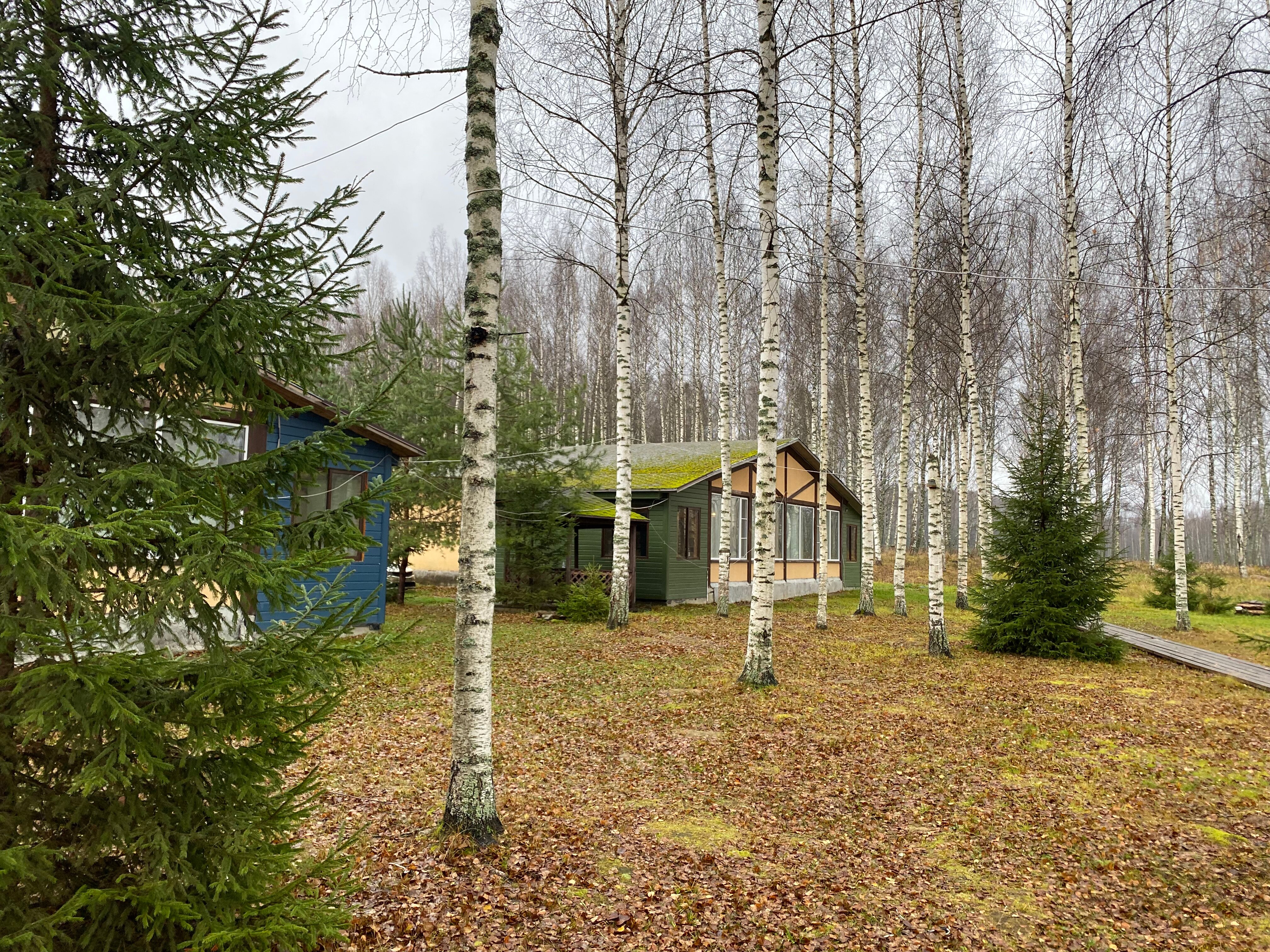 Фото Фермерская усадьба Лесной Берег