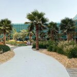 Sabah Al Ward Landscape & Gardening Works (Bayan Building, Dubai Investments Park 1, Jebel Ali, Dubai), landscaping of premises