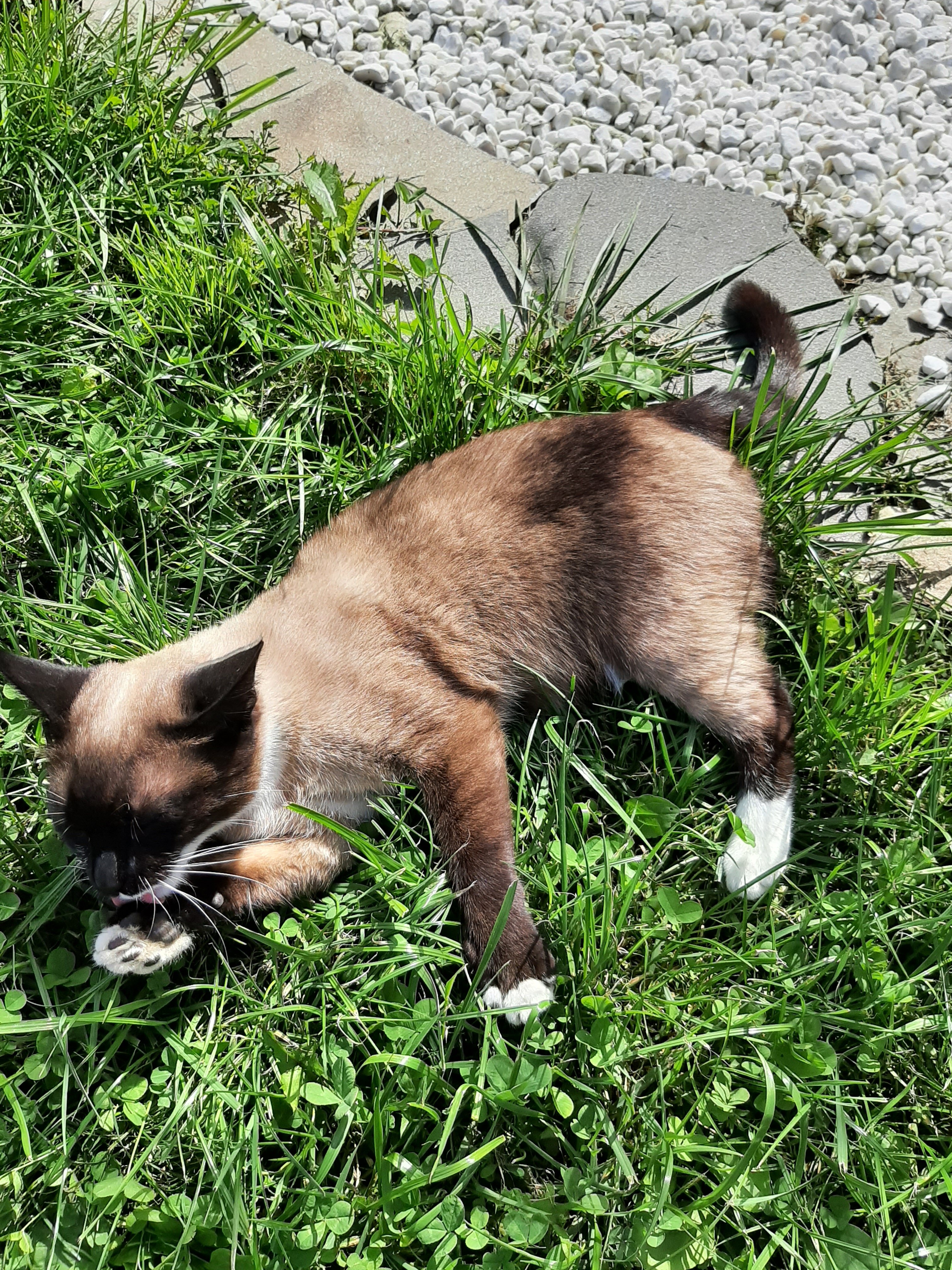 Фото Нагорный