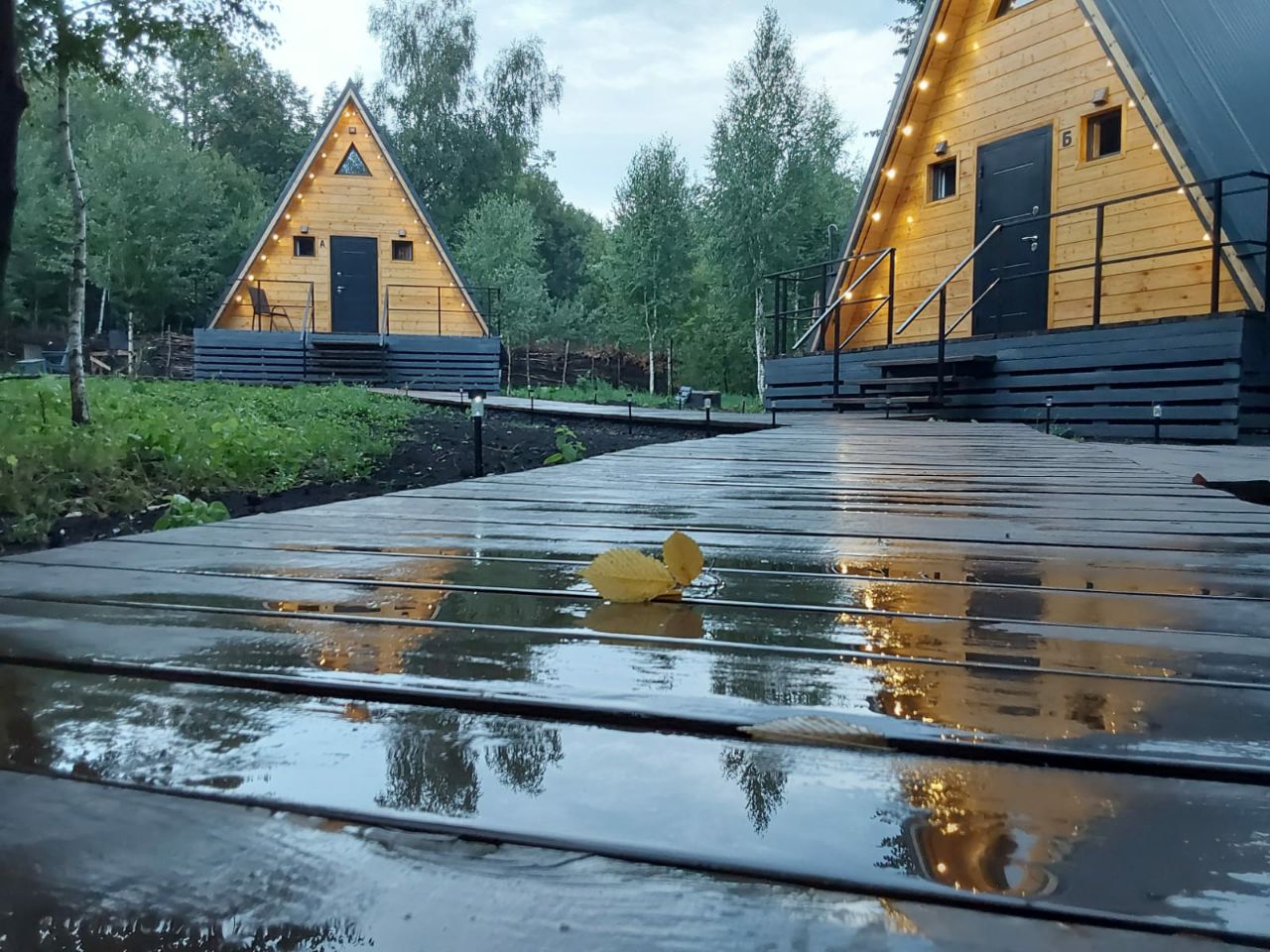 Фото Загорские дубки