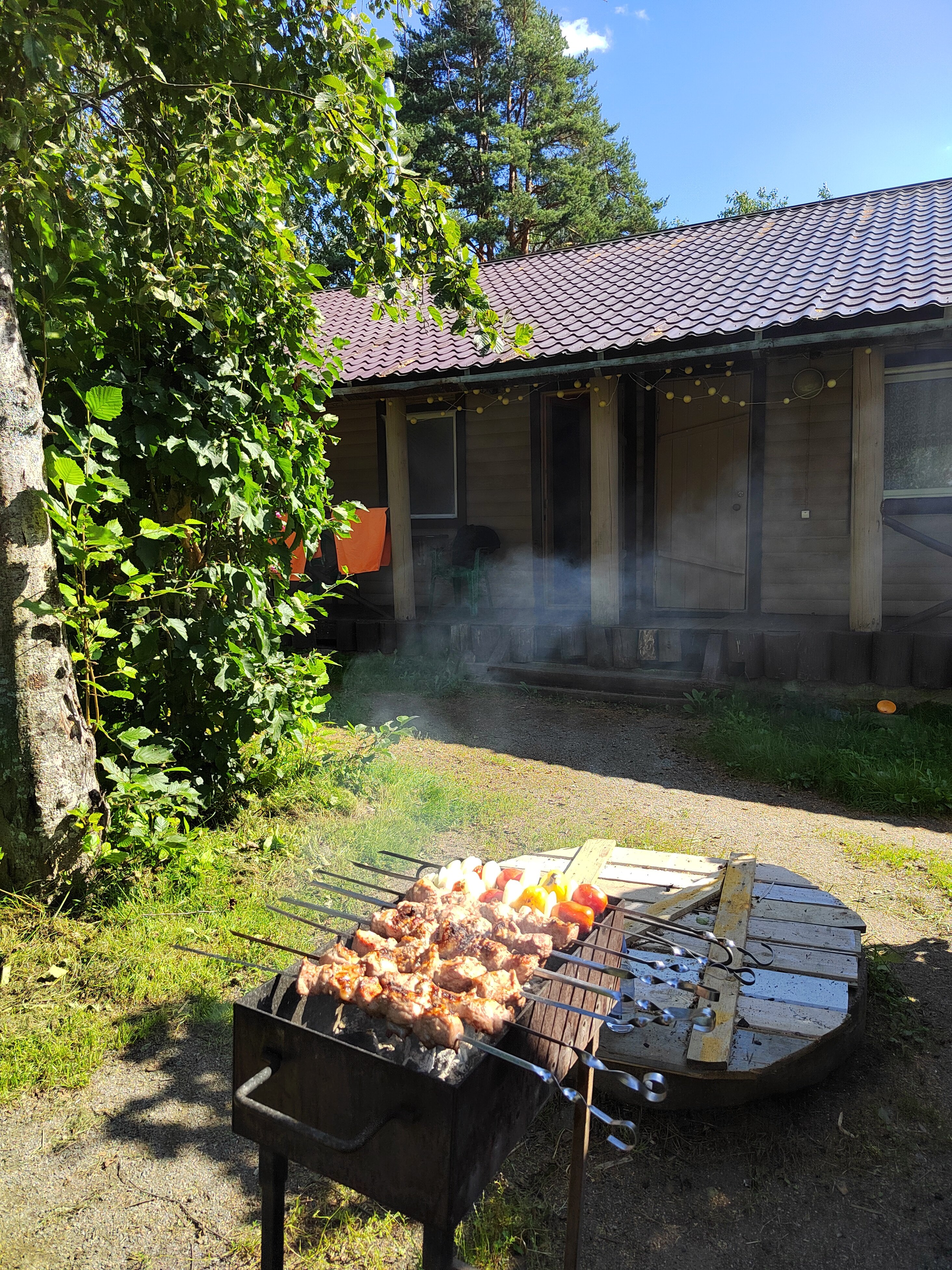 Фото Беличье