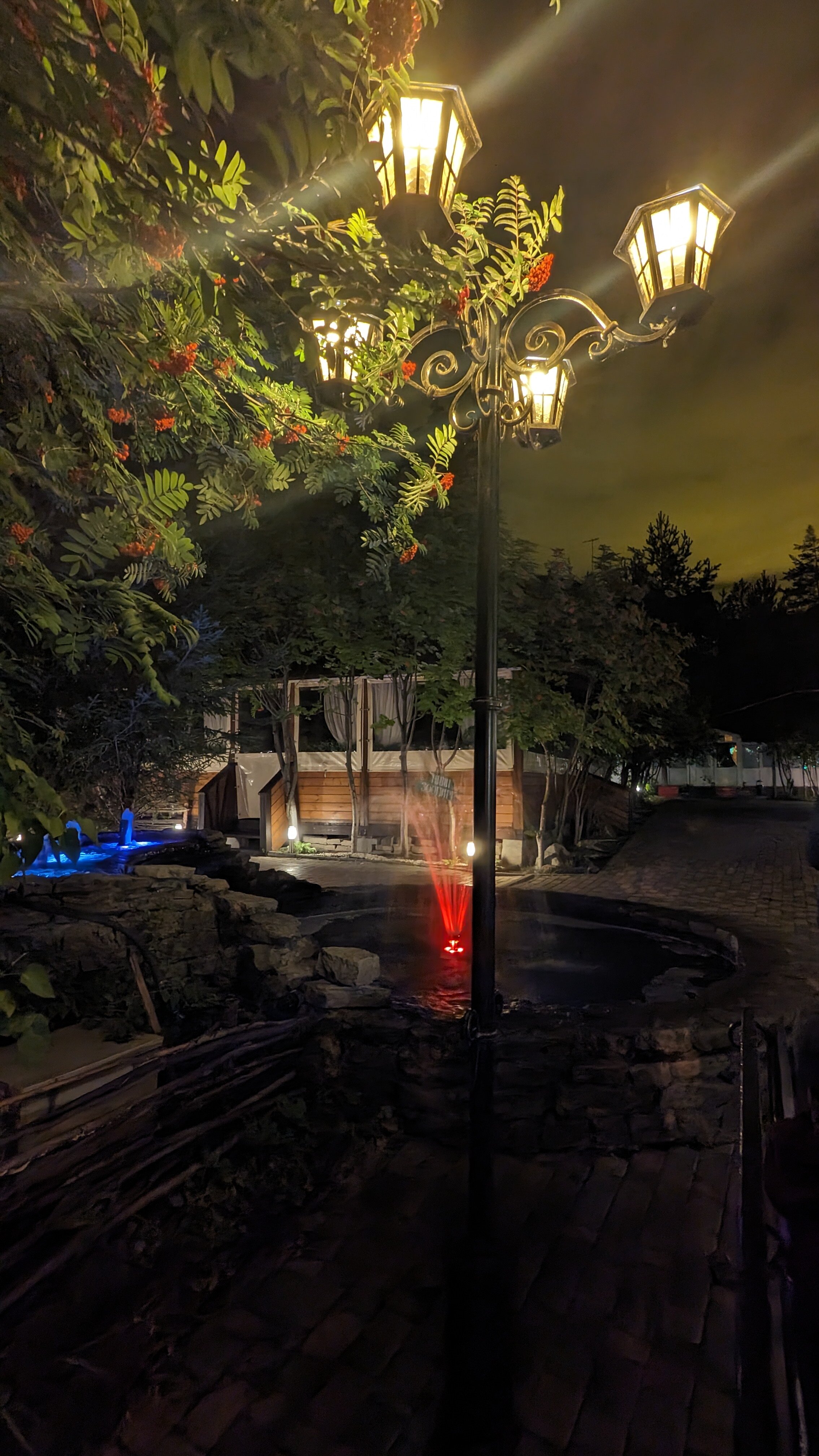 Фото Лесная поляна