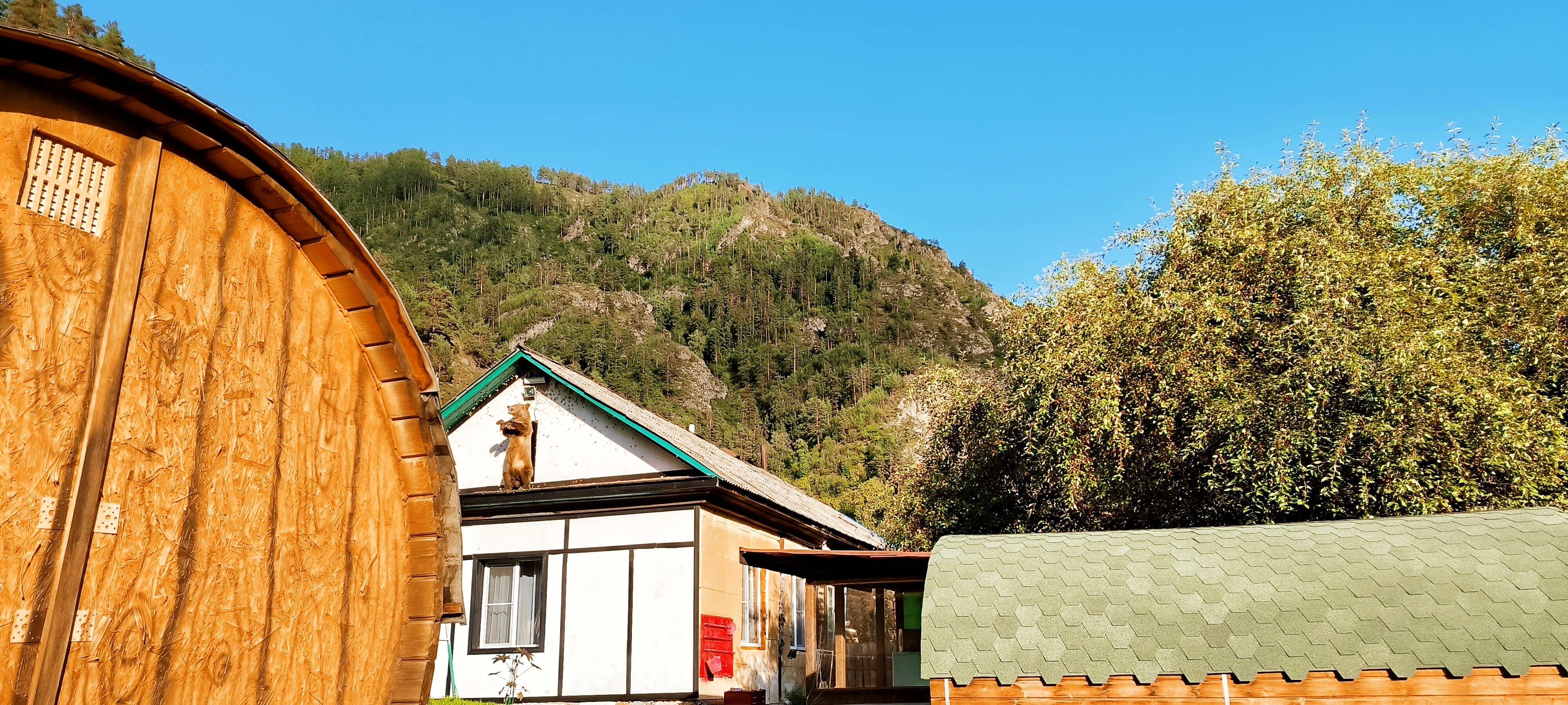 Фото Кедровый бочонок