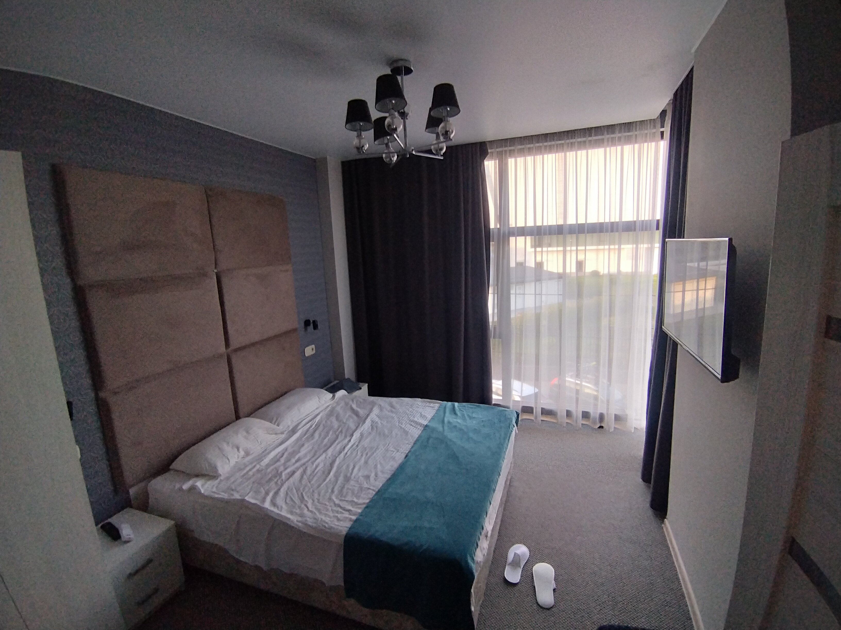 Фото SubTropical