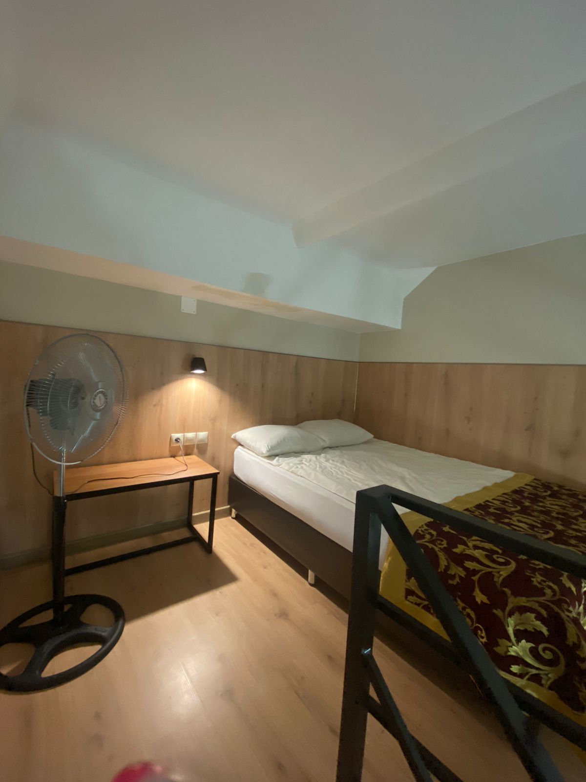 Фото Фламинго