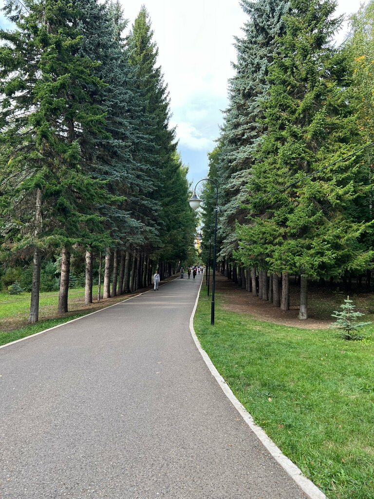 Urban forest Başkır Ormancıları Orman Parkı, Ufa, photo