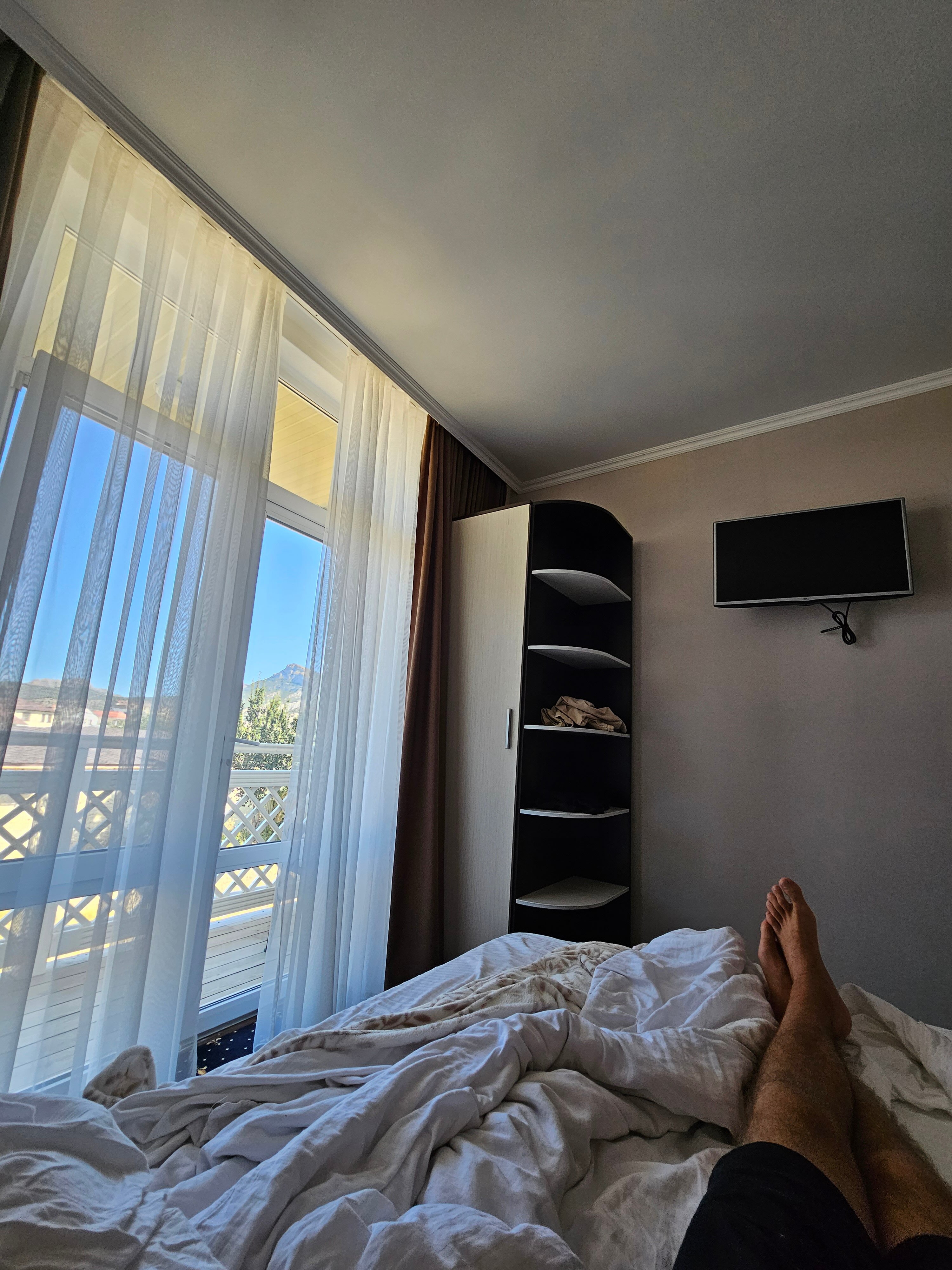 Фото Каштан