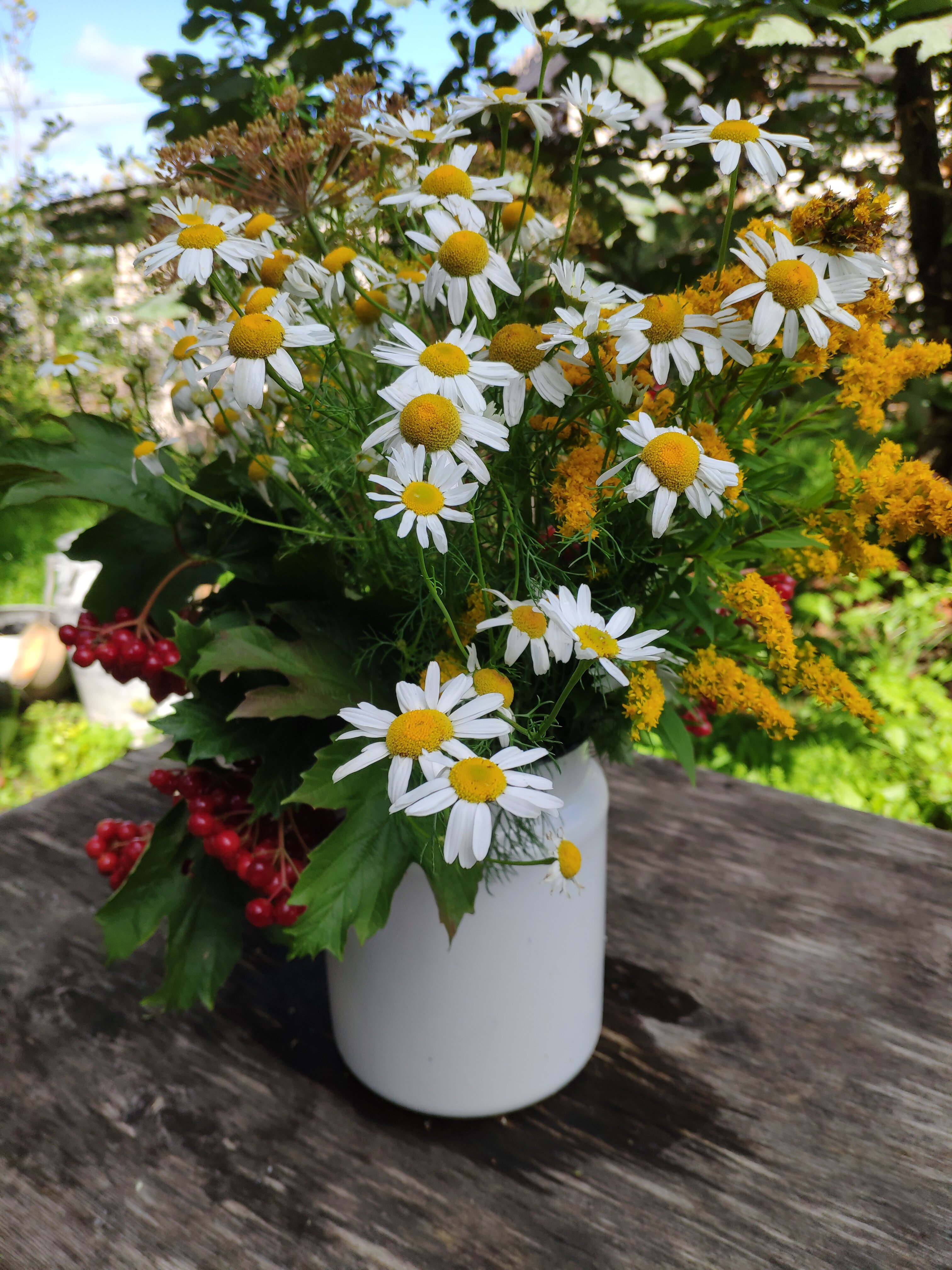 Фото Лосиный тупичок