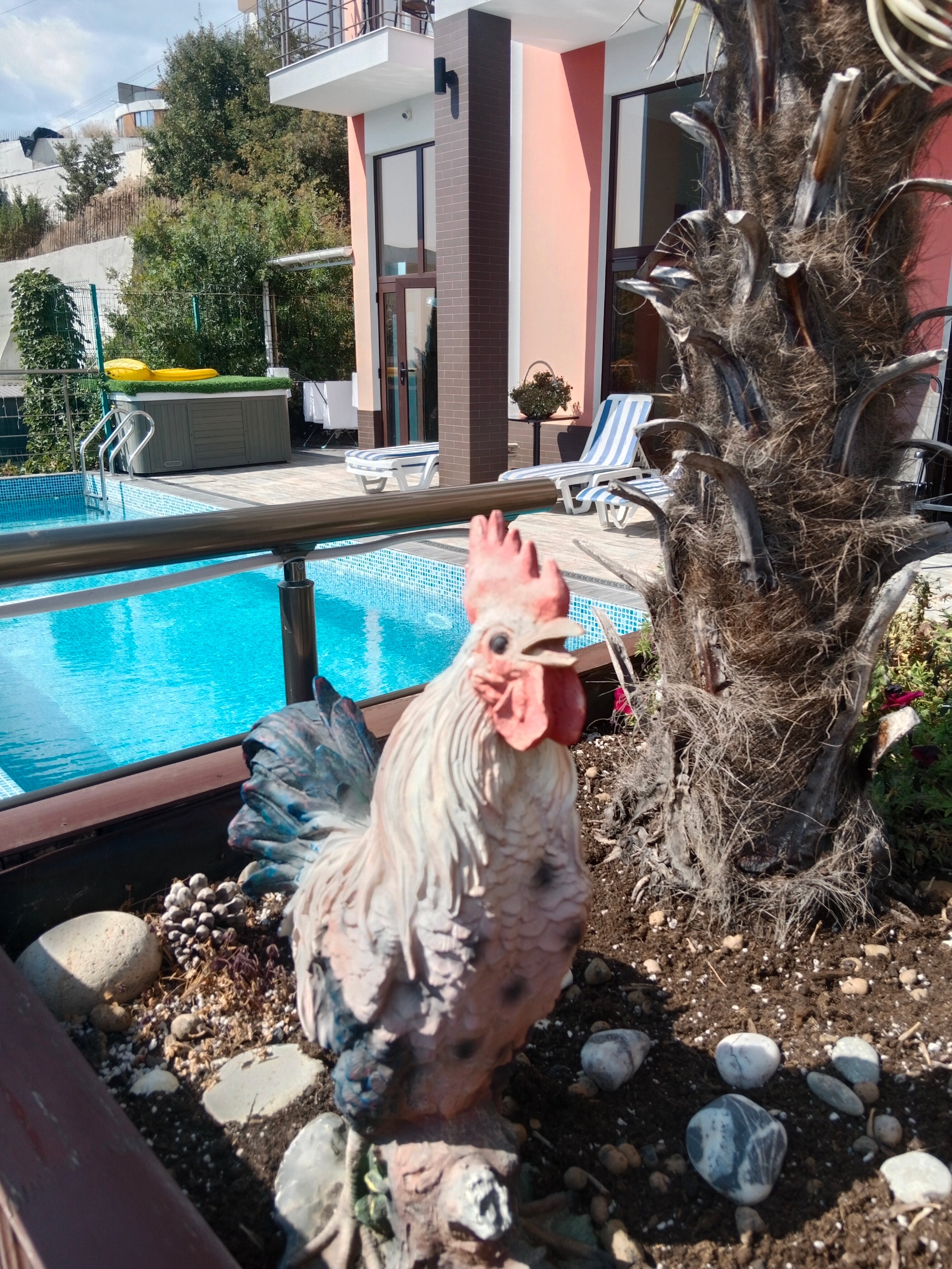 Фото Сезам клуб