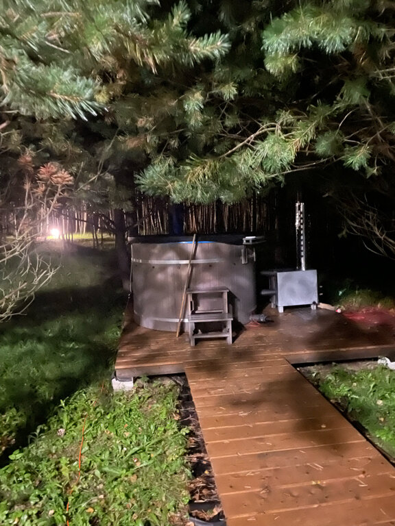 Фото Дыши лесом