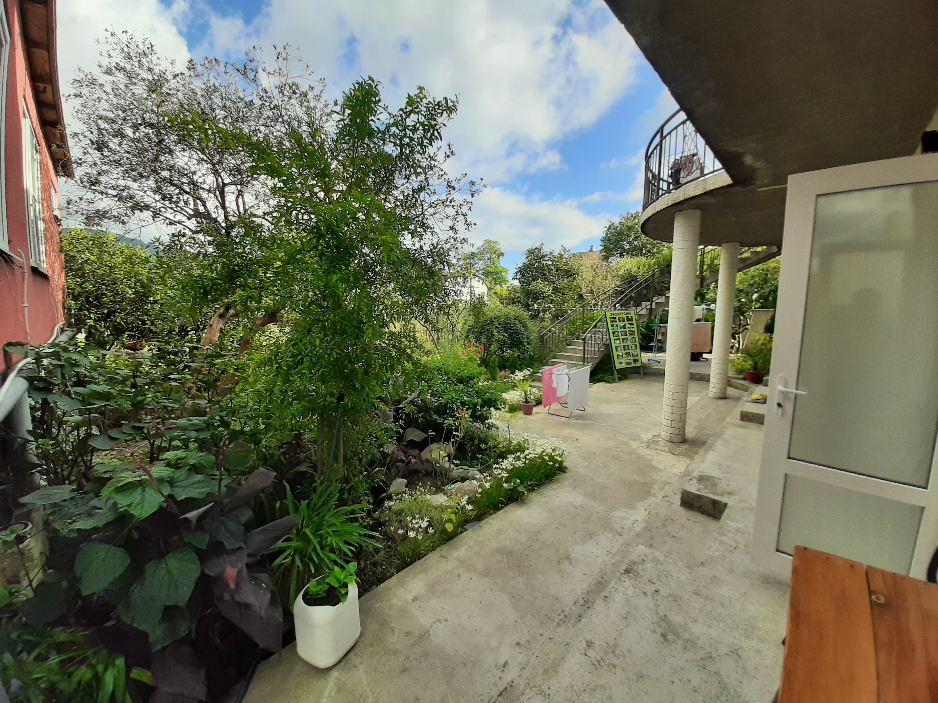 Фото Сингер